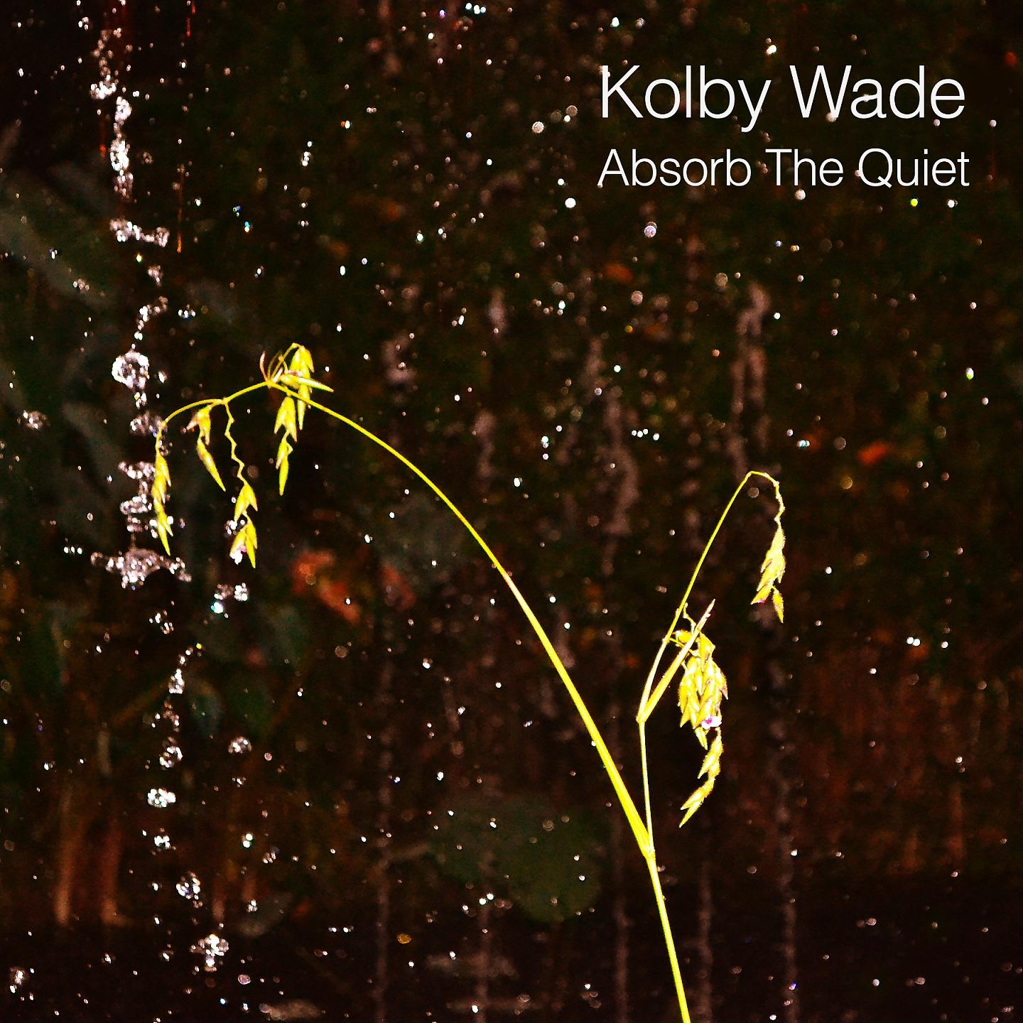 Постер альбома Absorb the Quiet