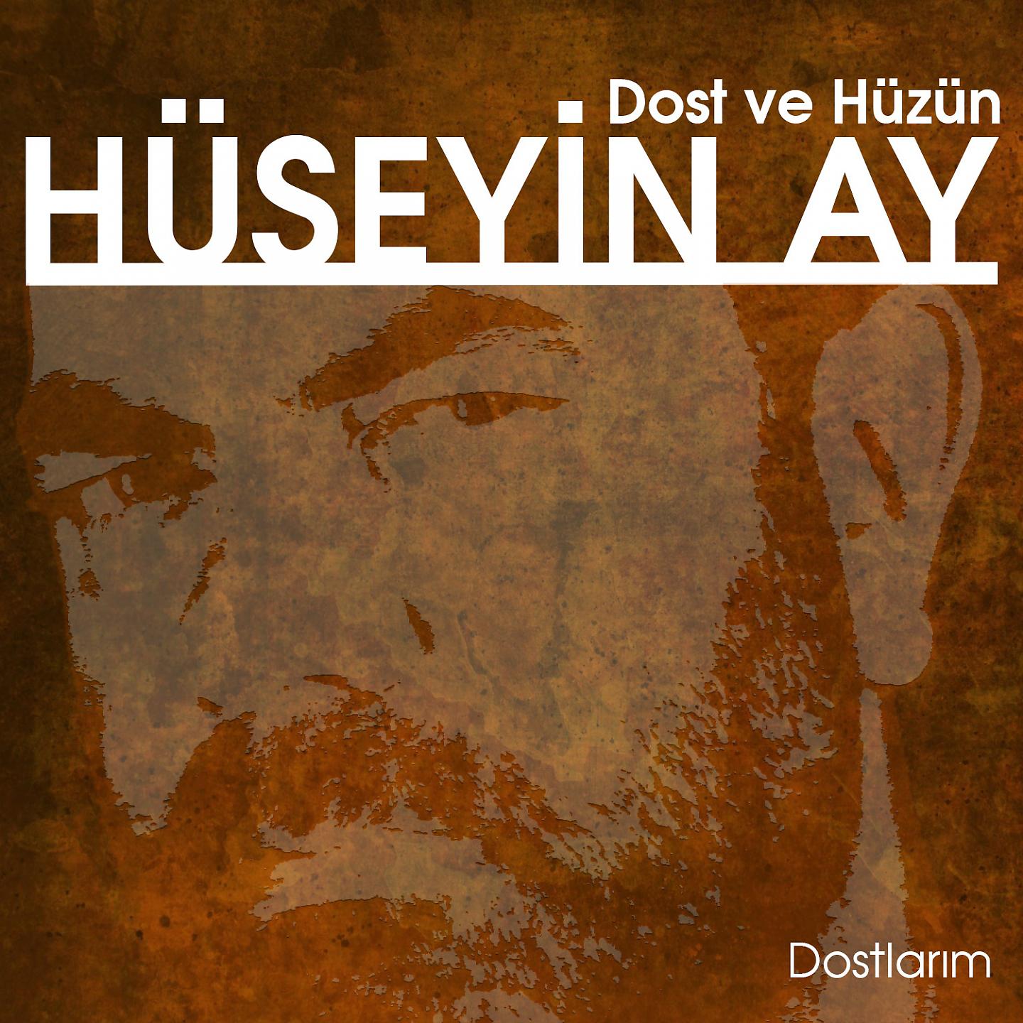 Постер альбома Dost ve Hüzün