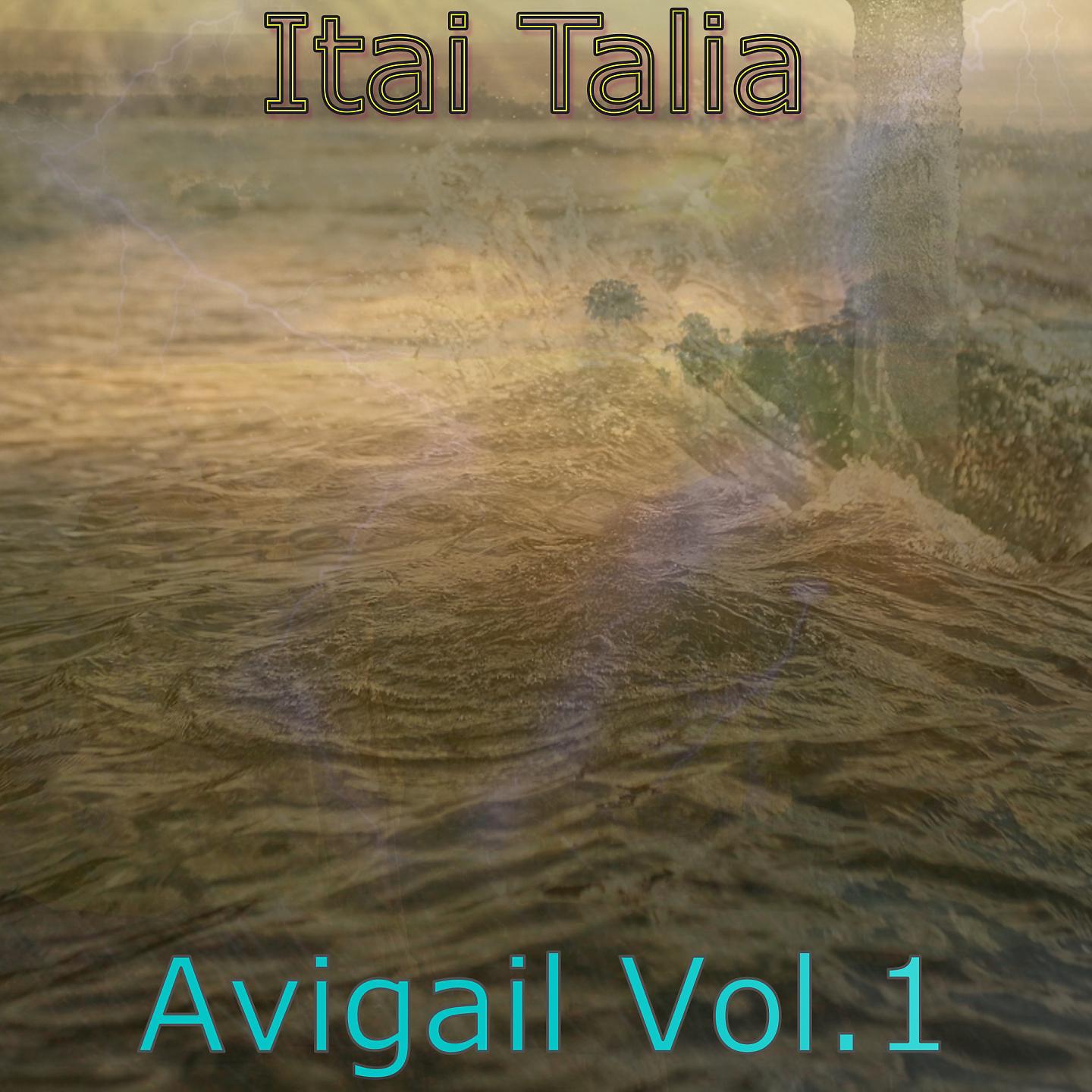 Постер альбома Avigail, Vol.1