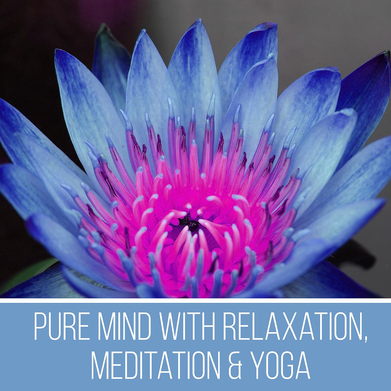 Постер альбома Pure Mind With Relaxation, Meditation & Yoga