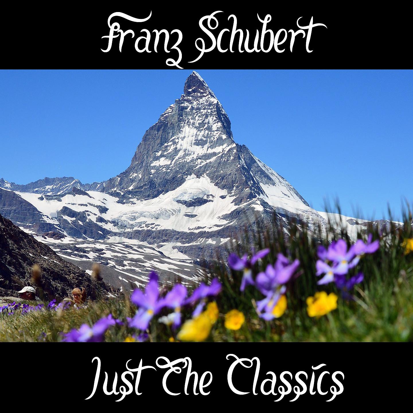 Franz Schubert - Sonata in B-flat major, D- 960 in C-Sharp Minor, D960 II- Andante sostenuto