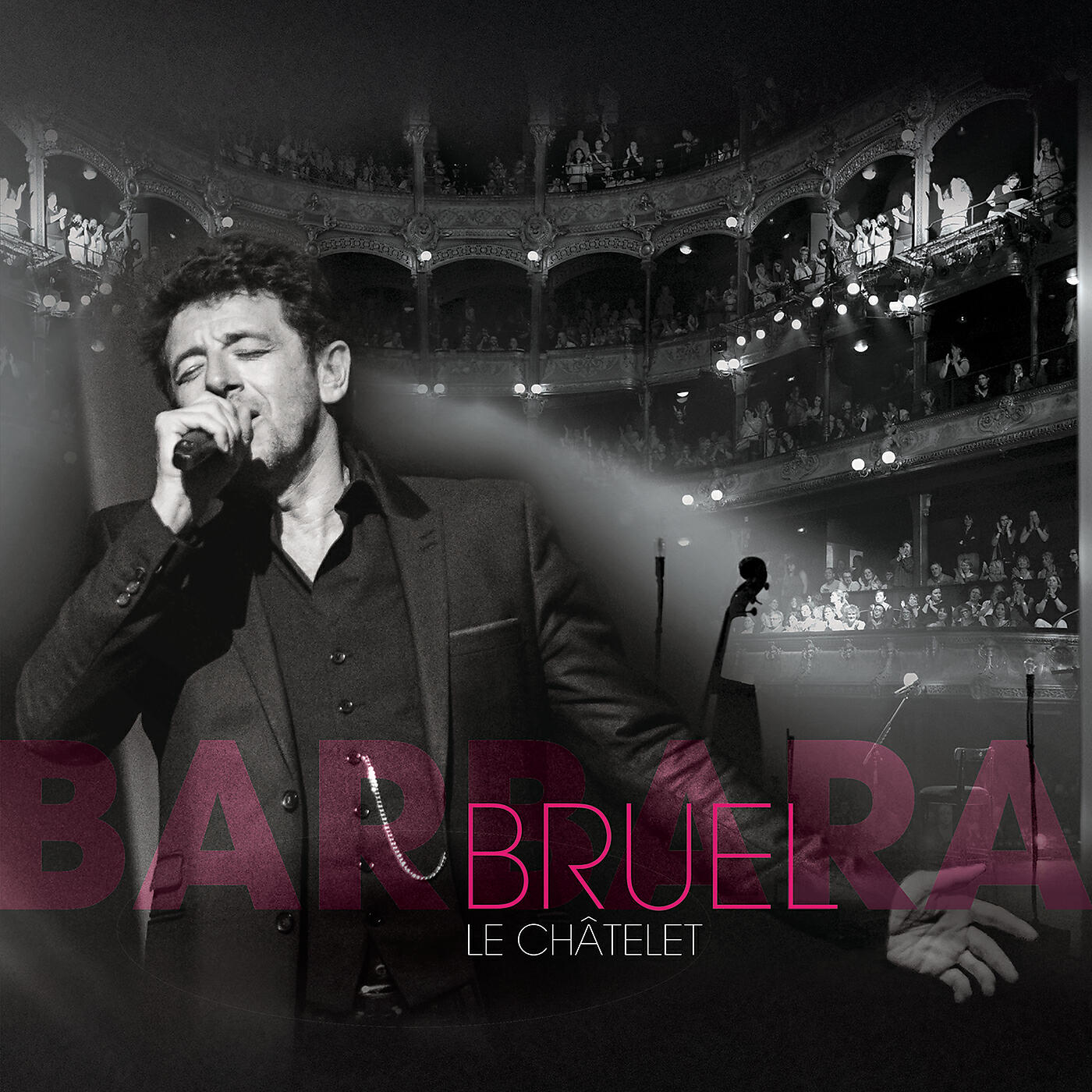 Patrick Bruel - Attendez que ma joie revienne (Live)