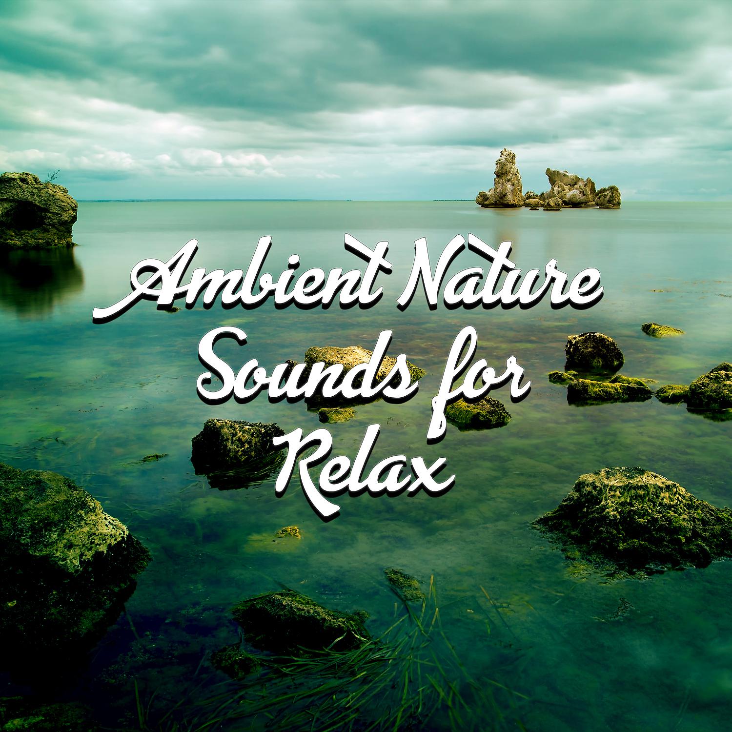 Постер альбома Ambient Nature Sounds for Relax – Total Relaxation Music, Sounds of Nature