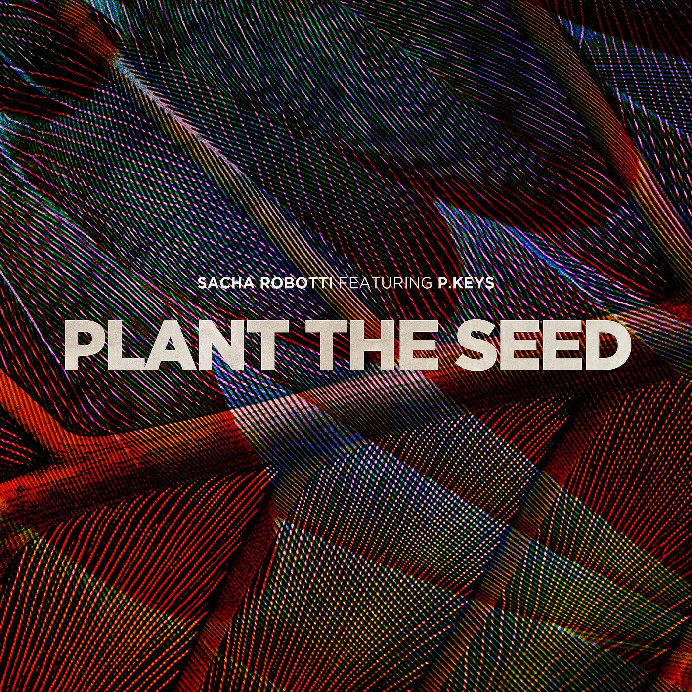 Постер альбома Plant The Seed