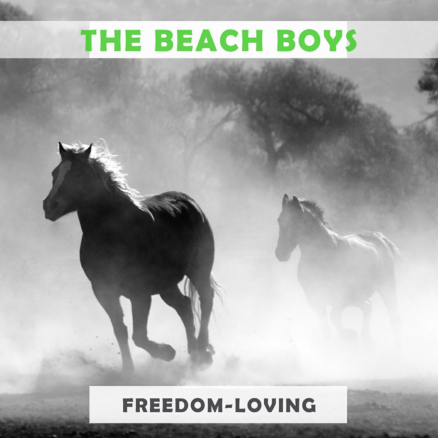 The Beach Boys - Fun, Fun, Fun