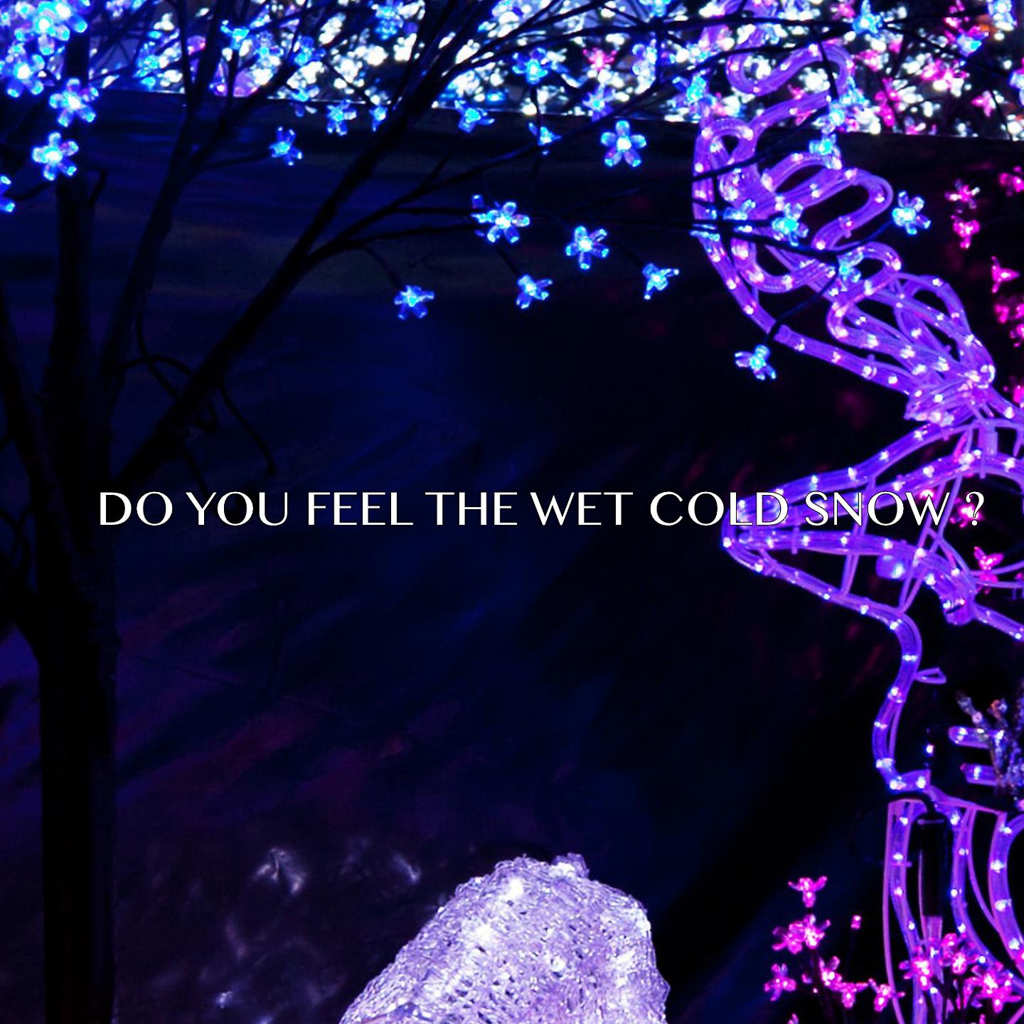 Постер альбома Do You Feel The Wet Cold Snow?