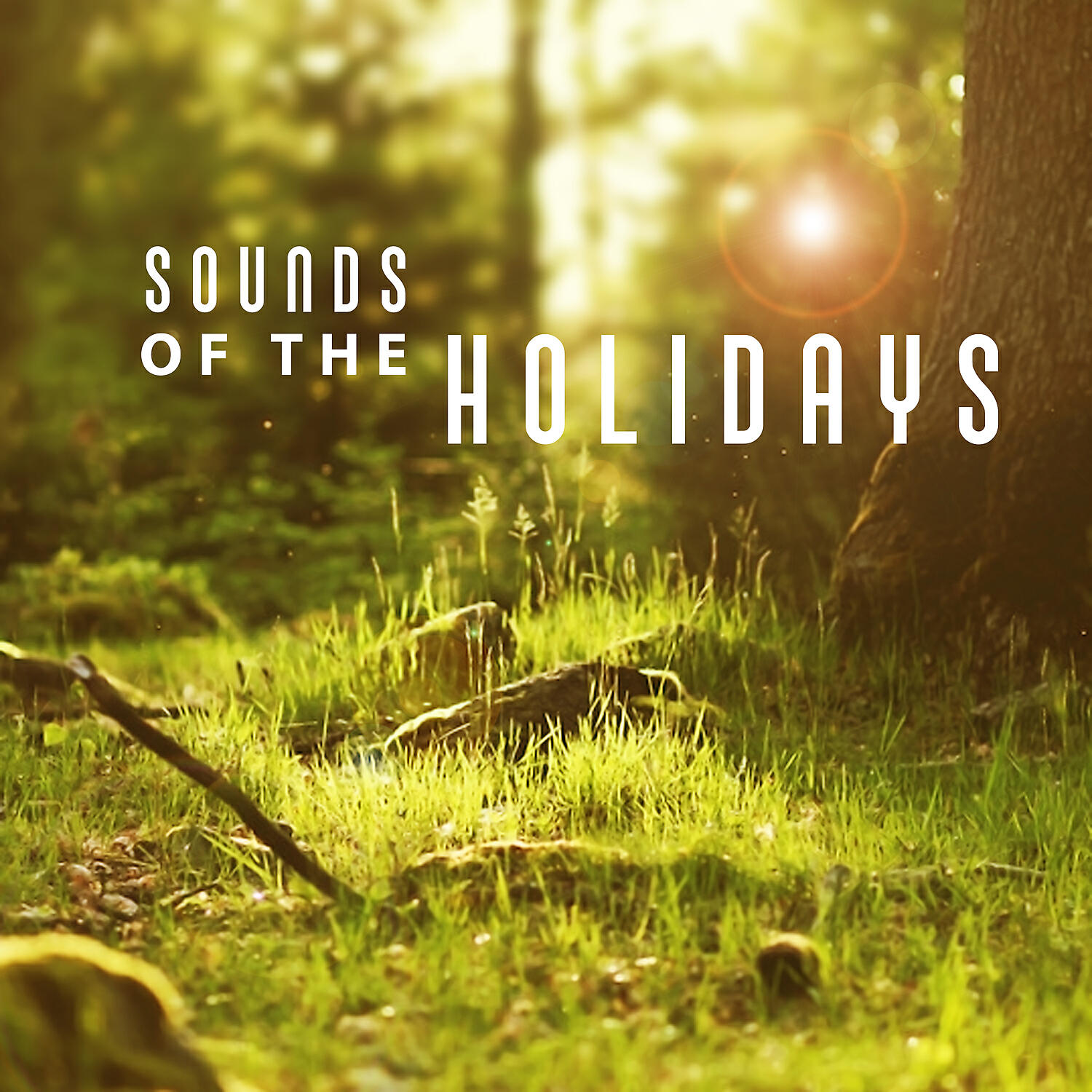 Soundscapes! - Water Sounds