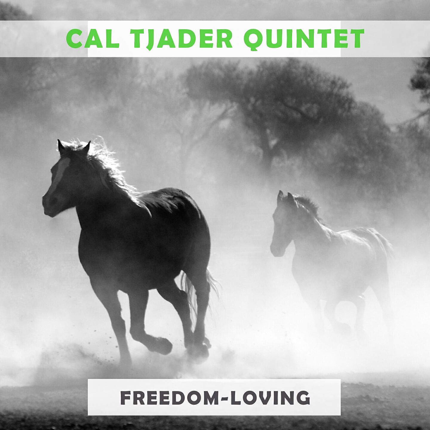 Cal Tjader Quintet - My One And Only Loe