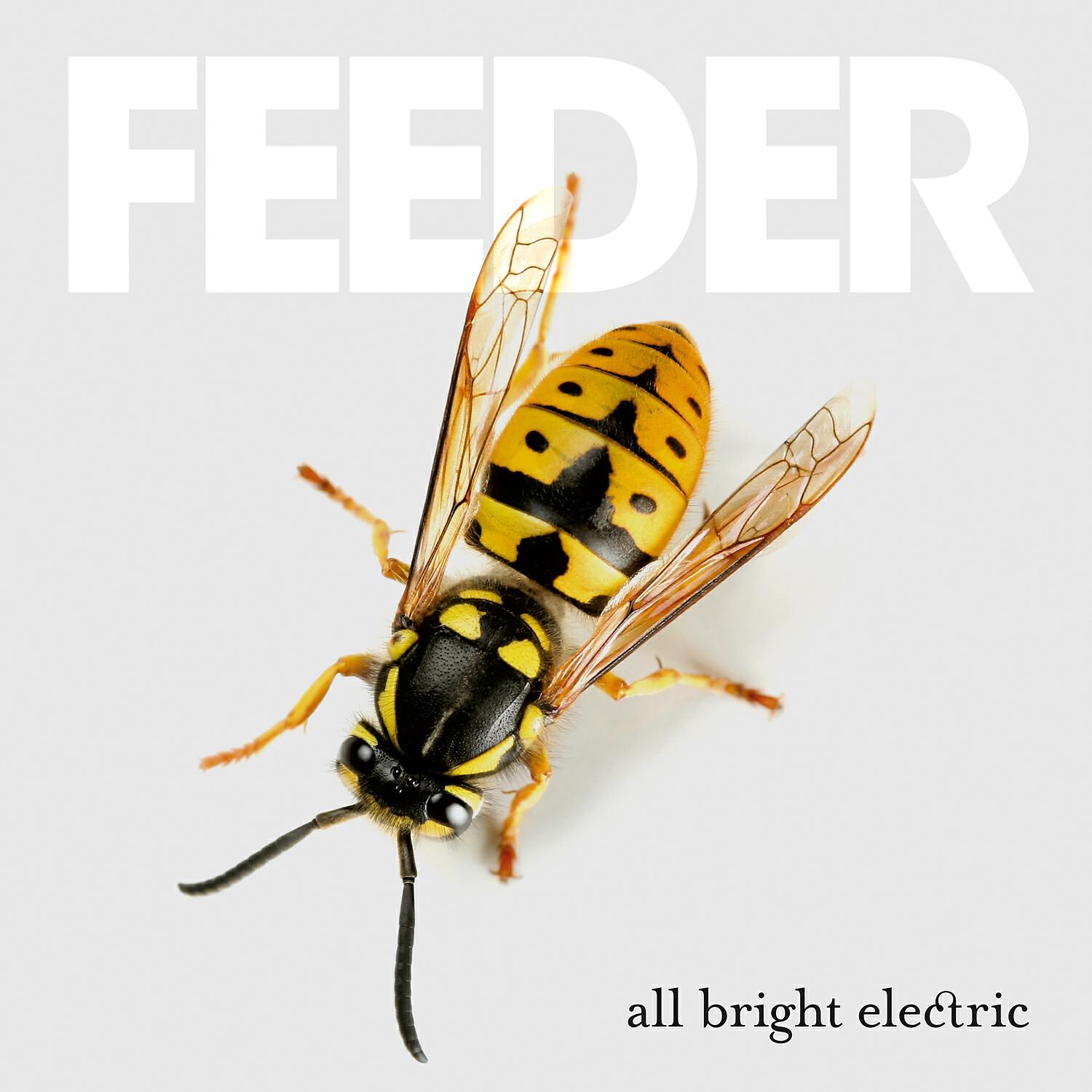 Feeder - Infrared-Ultraviolet