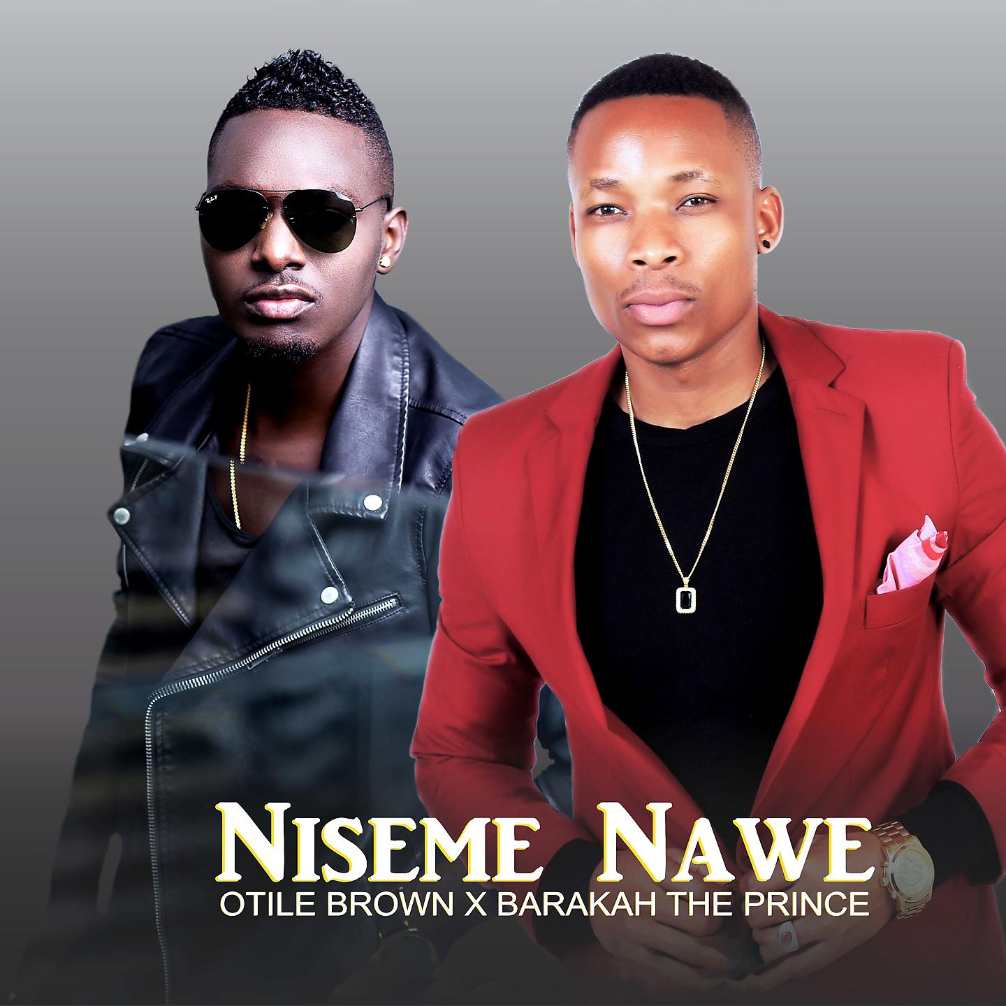 Постер альбома Niseme Nawe
