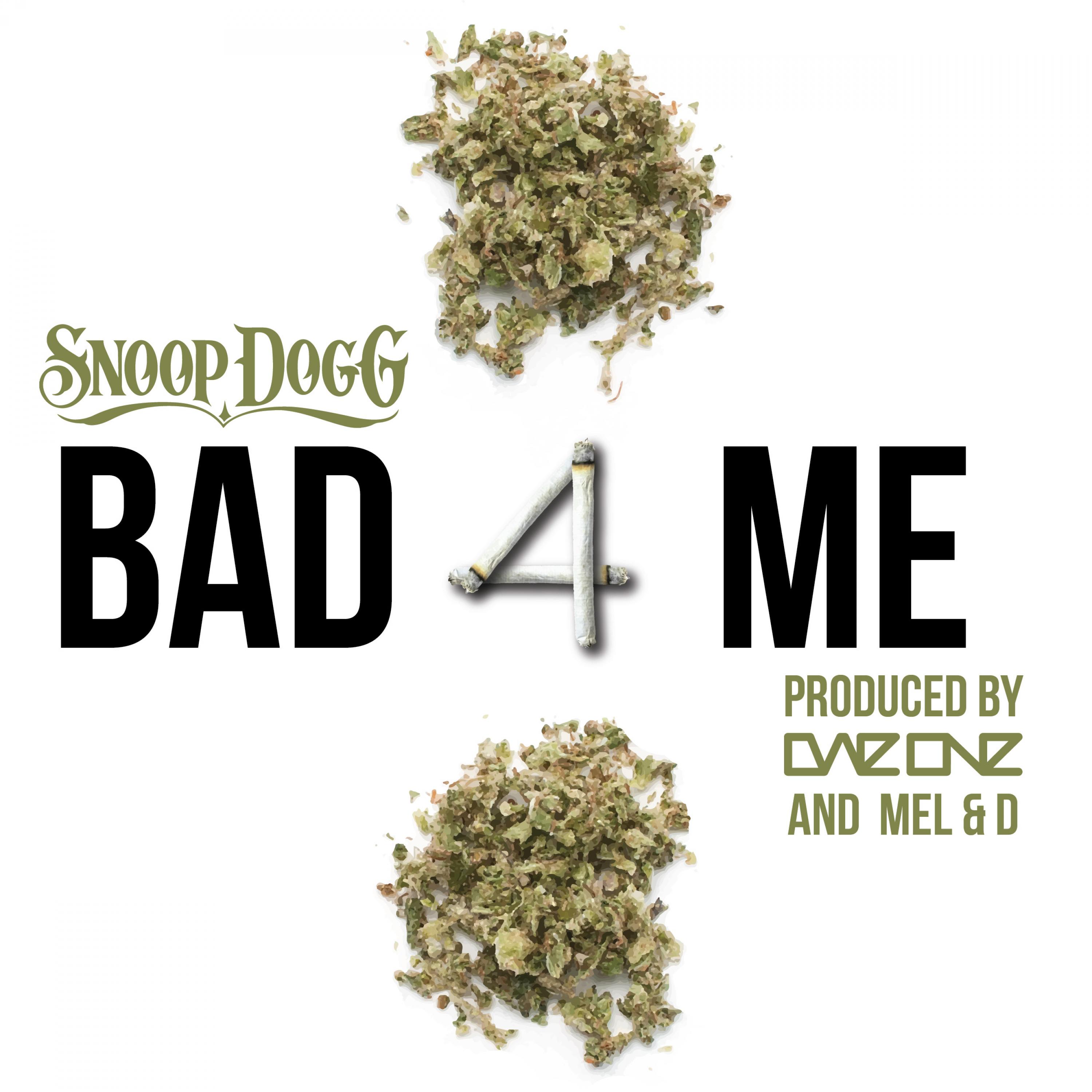 Постер альбома Bad 4 Me (feat. Snoop Dogg)