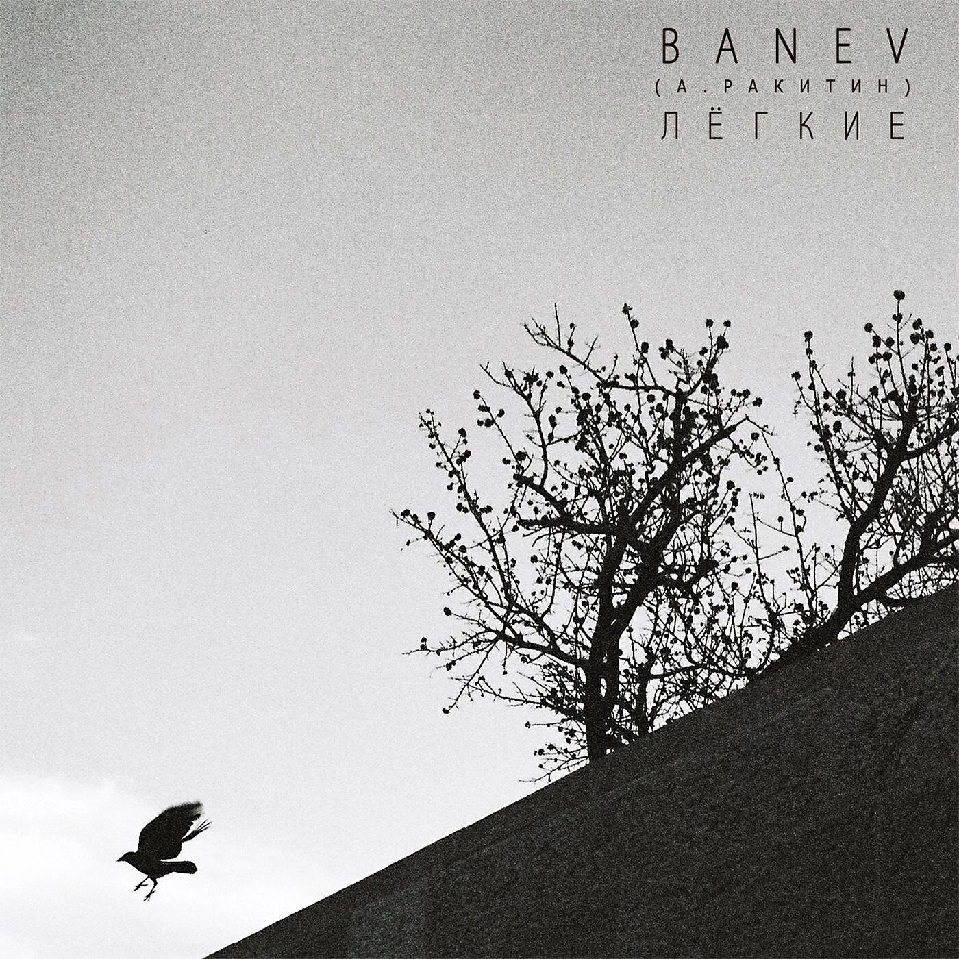 Banev! - Солнце в руках