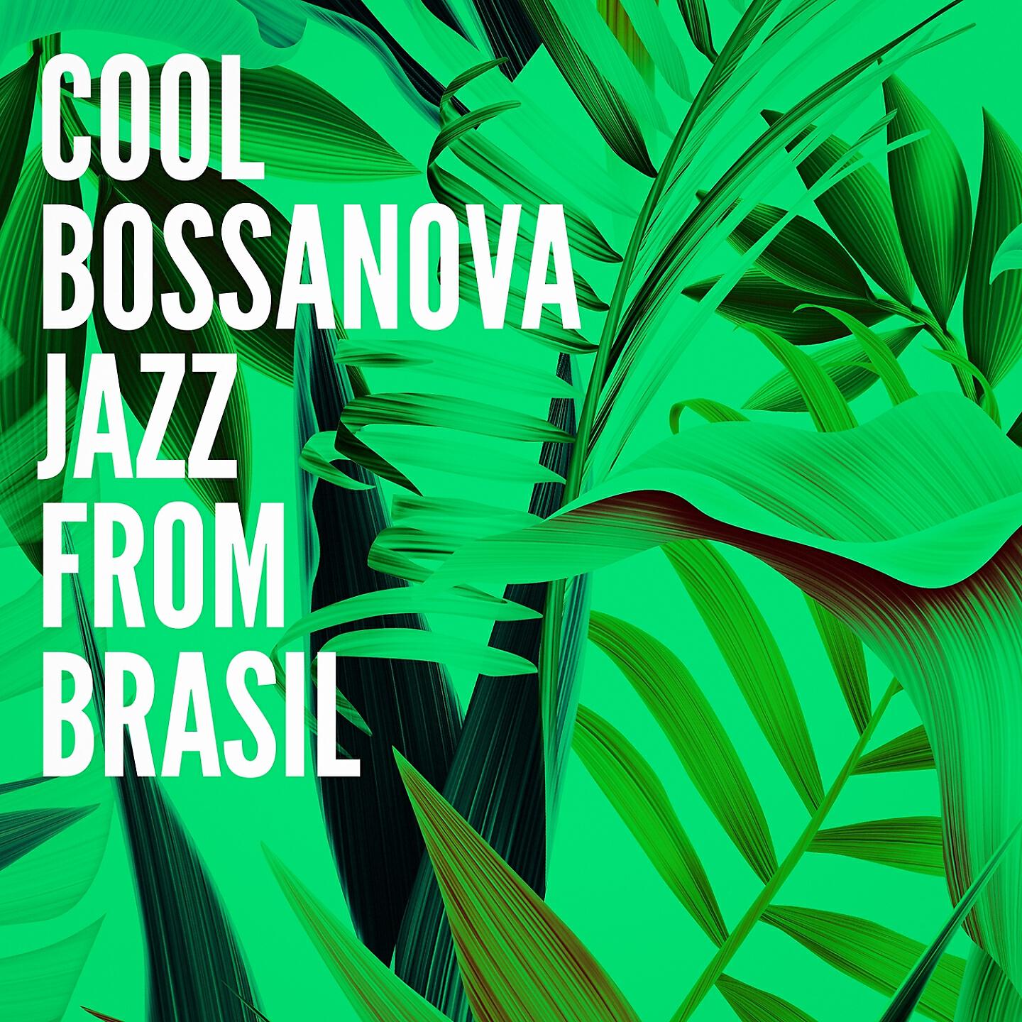 Belinha Bossa Duo - Wave