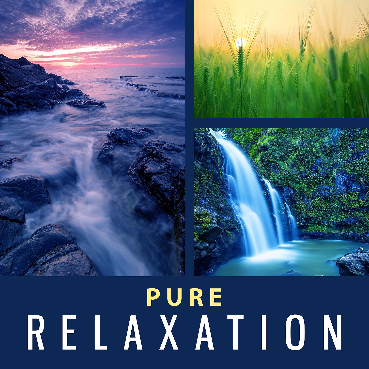 Постер альбома Pure Relaxation – Music for Relaxation, Soothing Ocean, Beach Time, Singing Birds