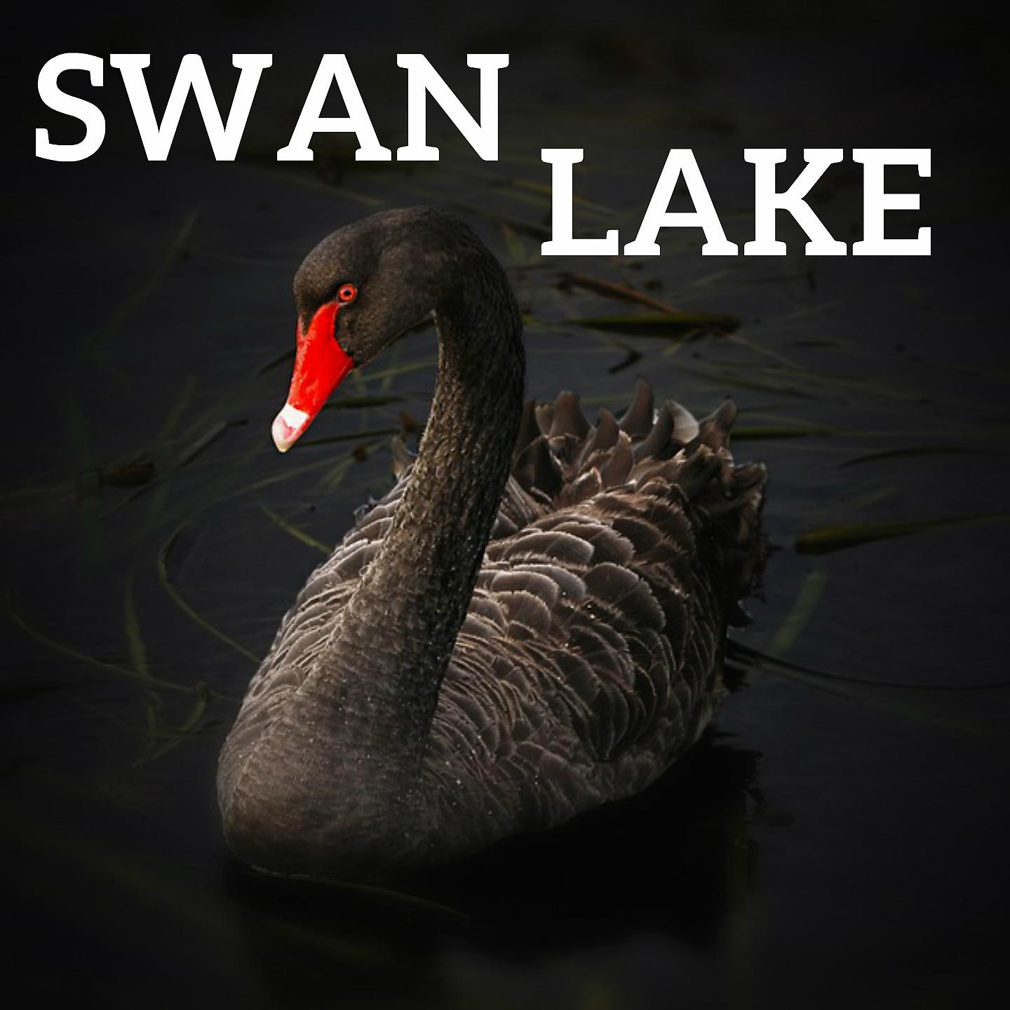 Постер альбома SWAN LAKE
