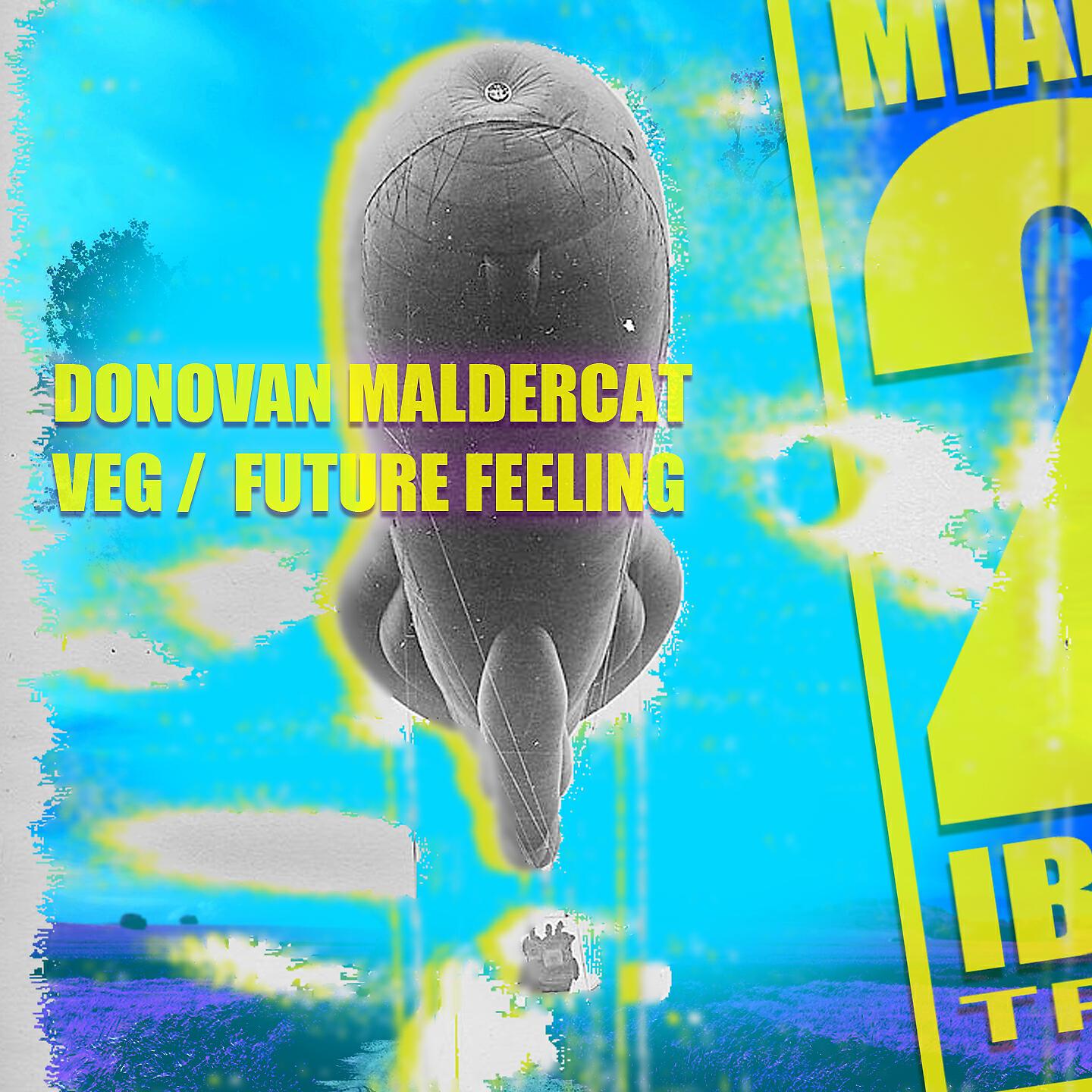 Donovan Maldercat - Future Feeling (Radio Edit)
