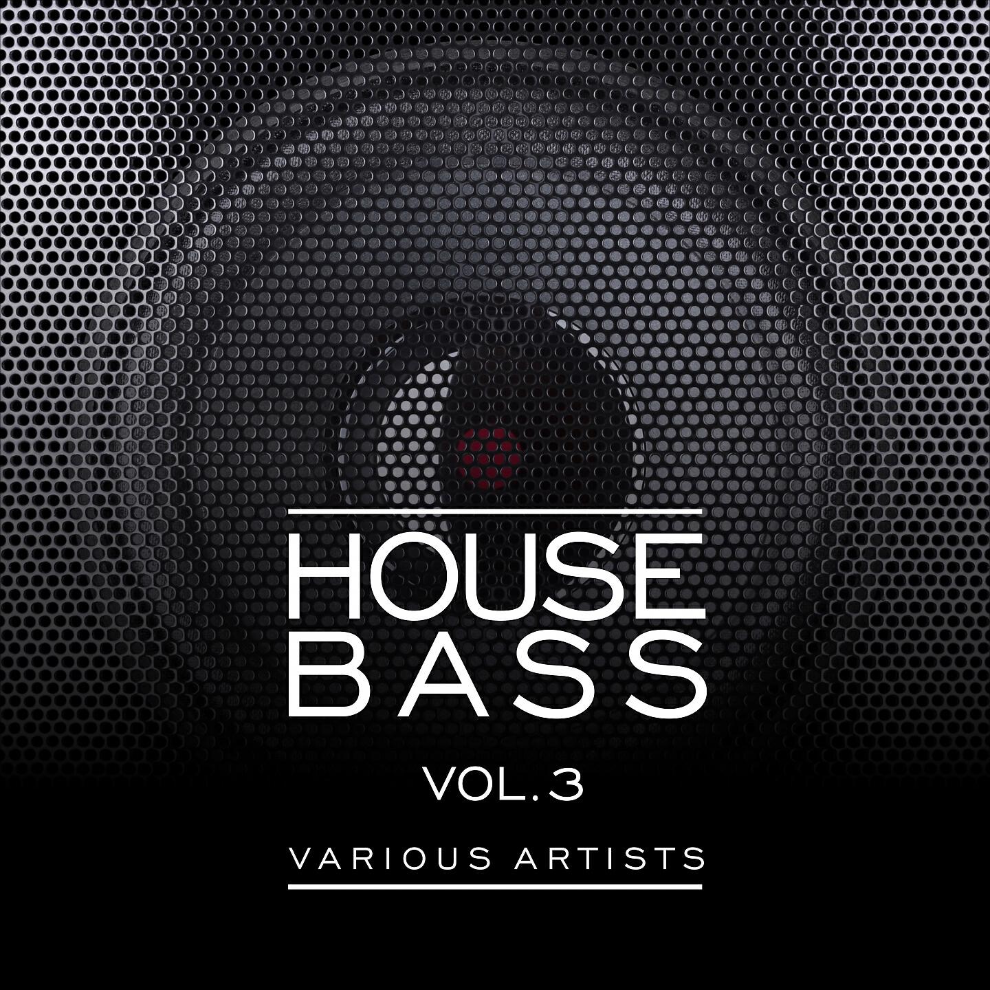 Басс хаус. Басс хаус хаус. Басс хаус хаус. Bass house обложка. Bass house music.