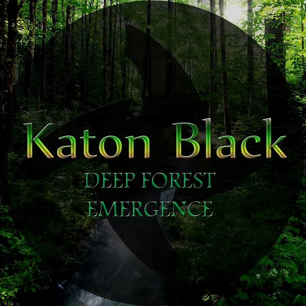 Постер альбома Deep Forest Emergence