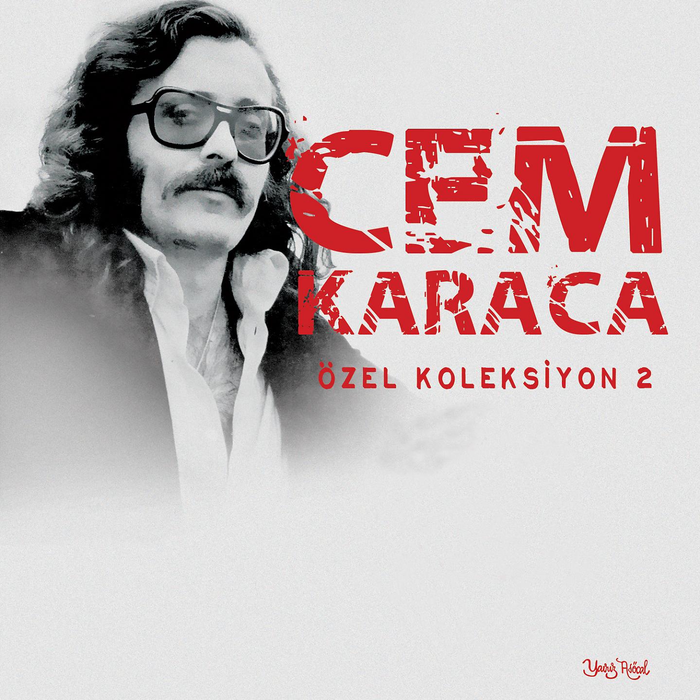 Постер альбома Özel Koleksiyon, Vol. 2