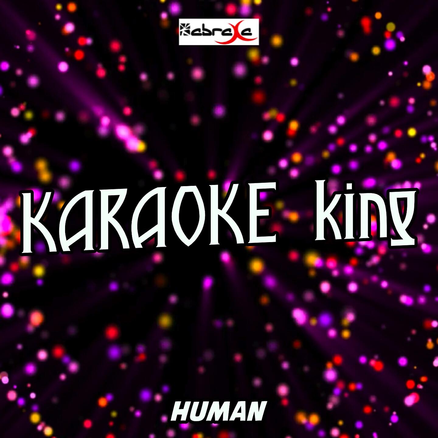 Karaoke King - Human (Karaoke Version) (Originally Performed by Rag'n'Bone Man)