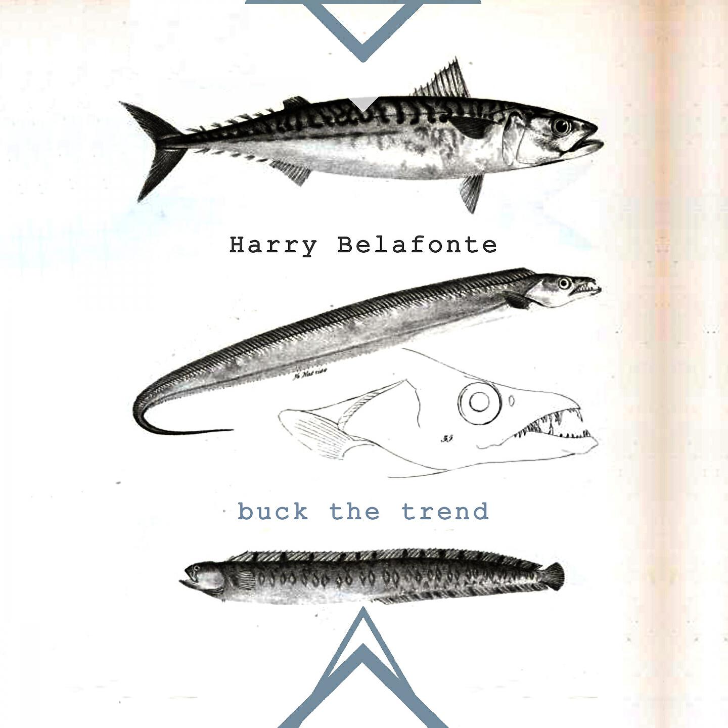 Harry Belafonte - Times Are Gettin' Hard