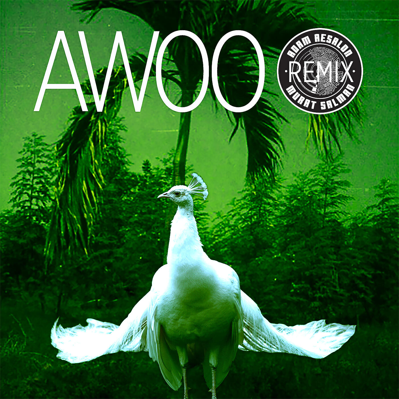 Sofie Tukker - Awoo (Adam Aesalon & Murat Salman Remix)