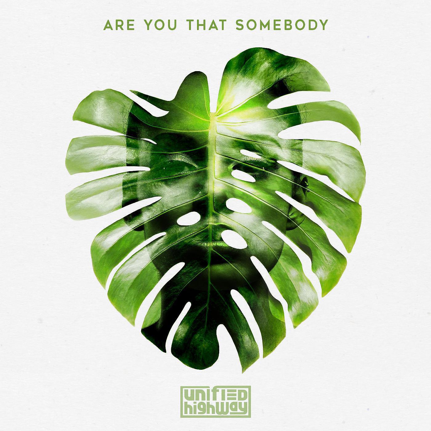 Unified Highway - Are You That Somebody