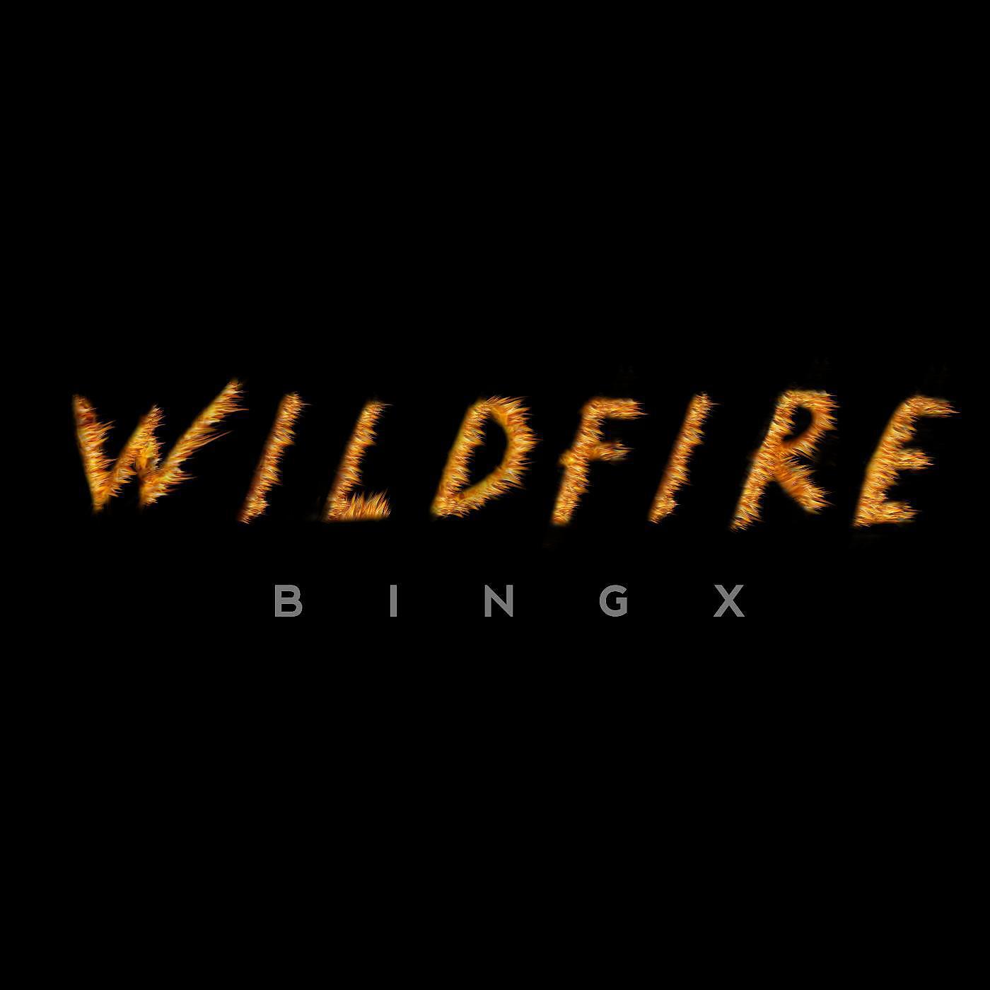 Bingx - Wildfire