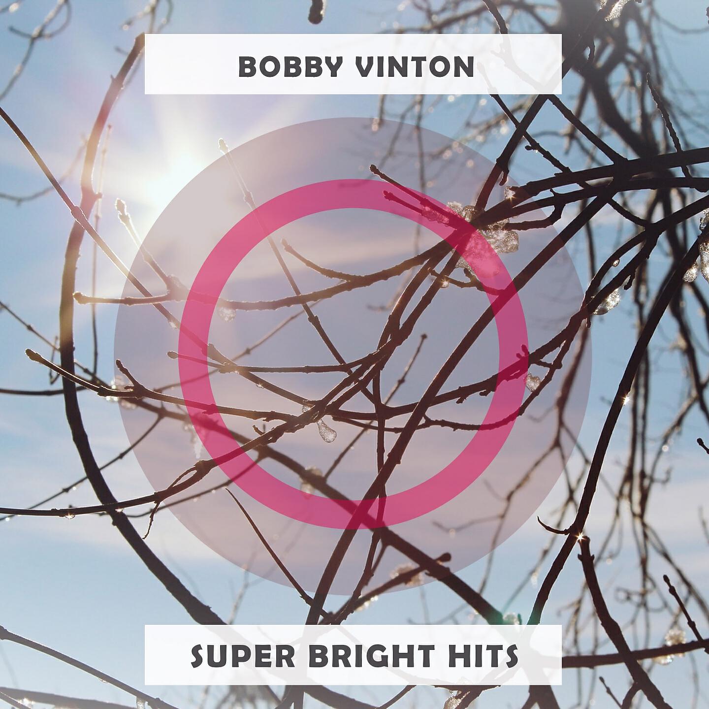 Bobby Vinton - There! I've Said It Again