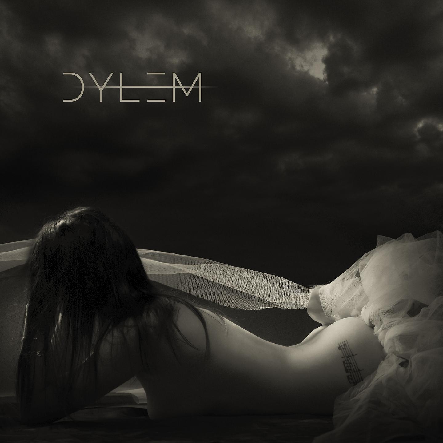 Постер альбома Dylem