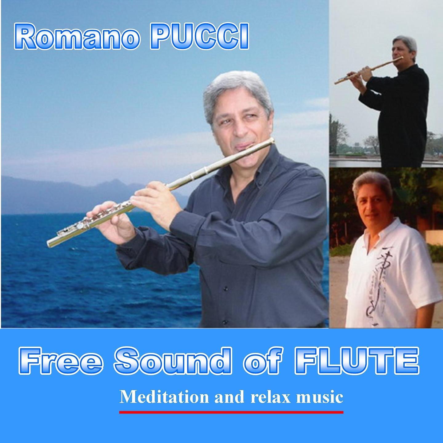 Постер альбома Free Sound of Flute