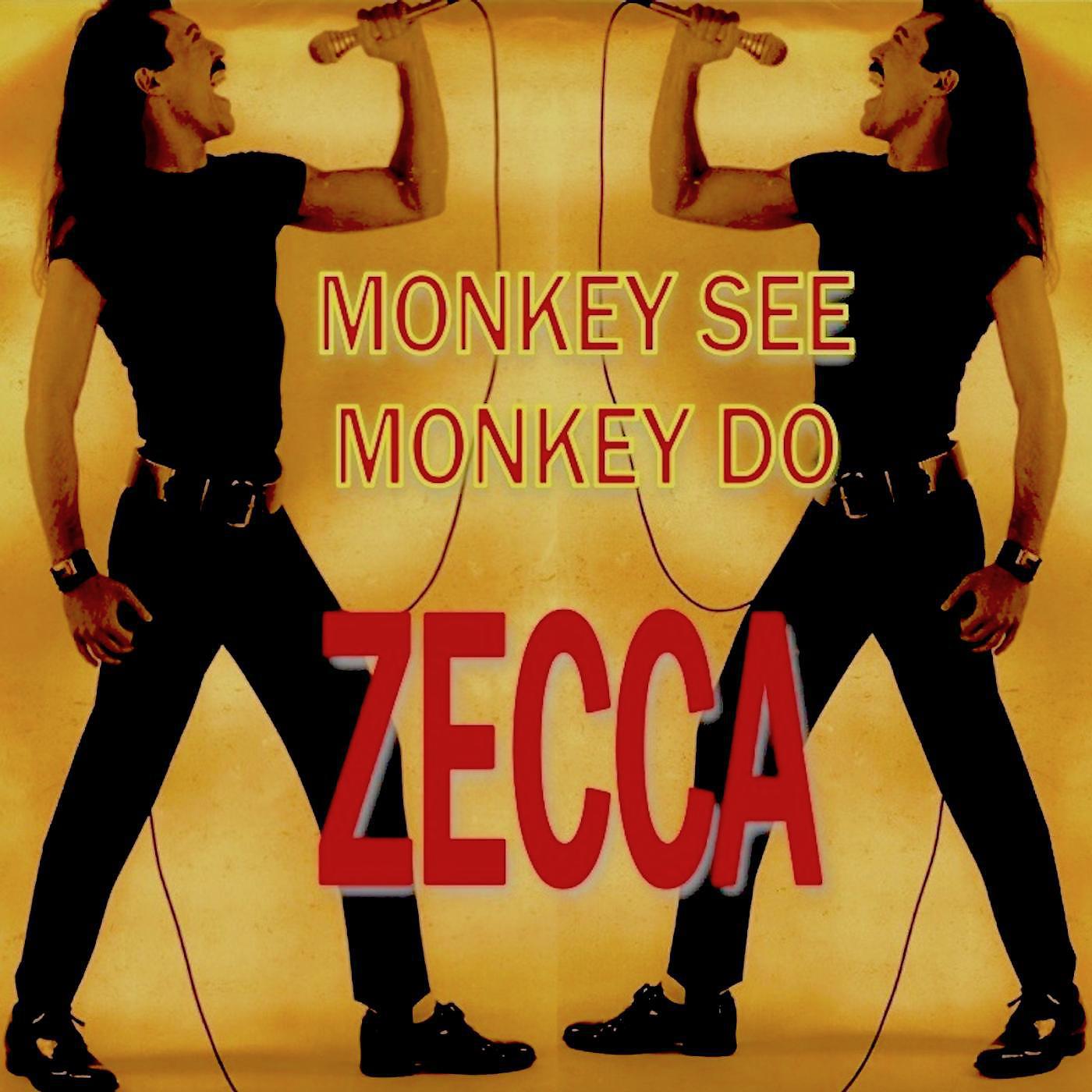 Постер альбома Monkey See Monkey Do