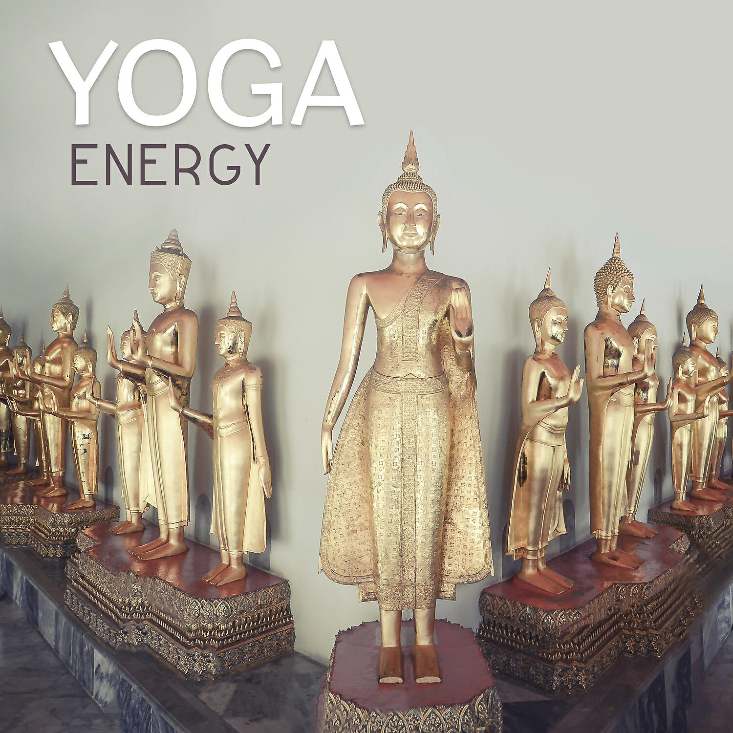Yoga Music Masters - Pure Soul
