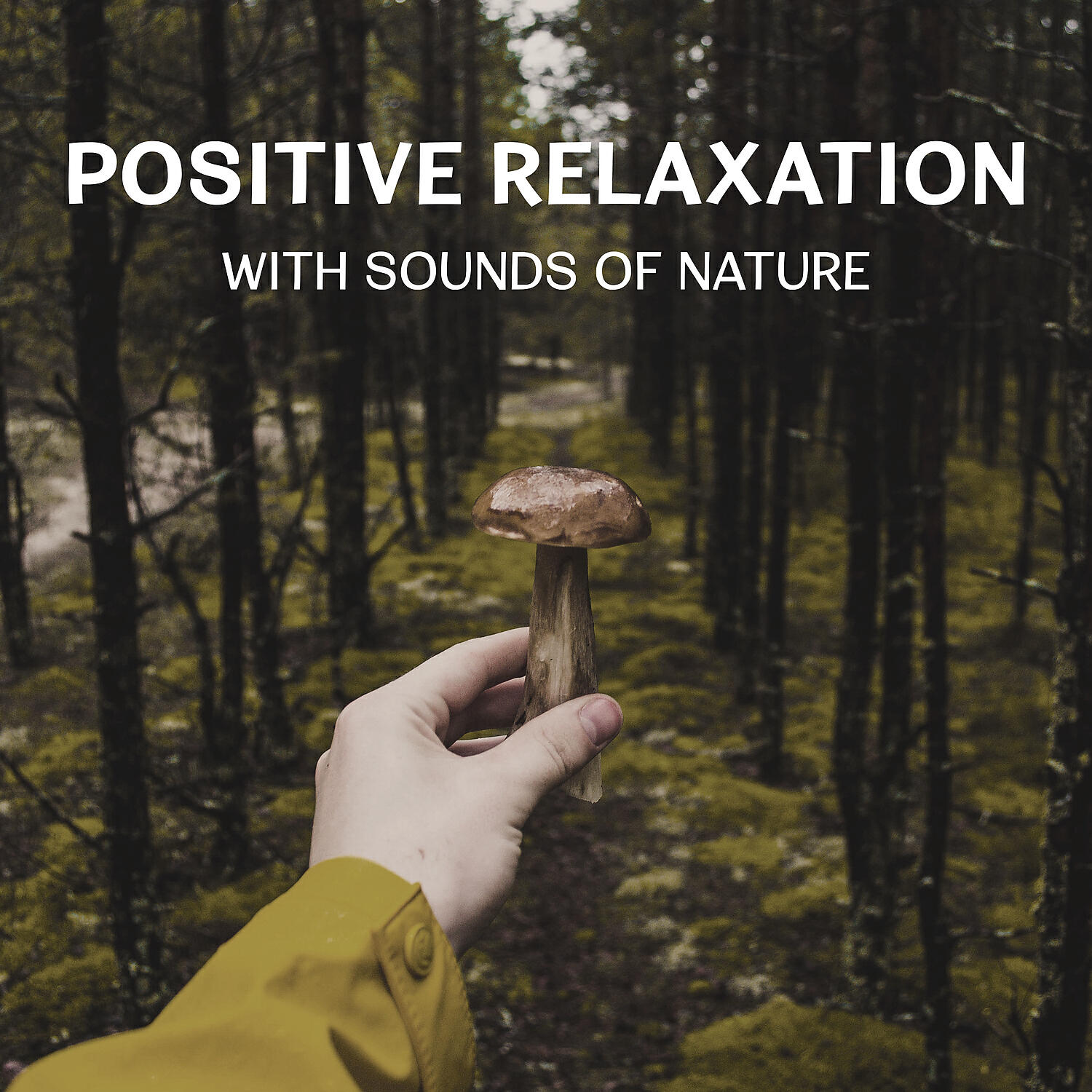 Restful Music Consort - Relaxing Sounds (Deep Sleep)