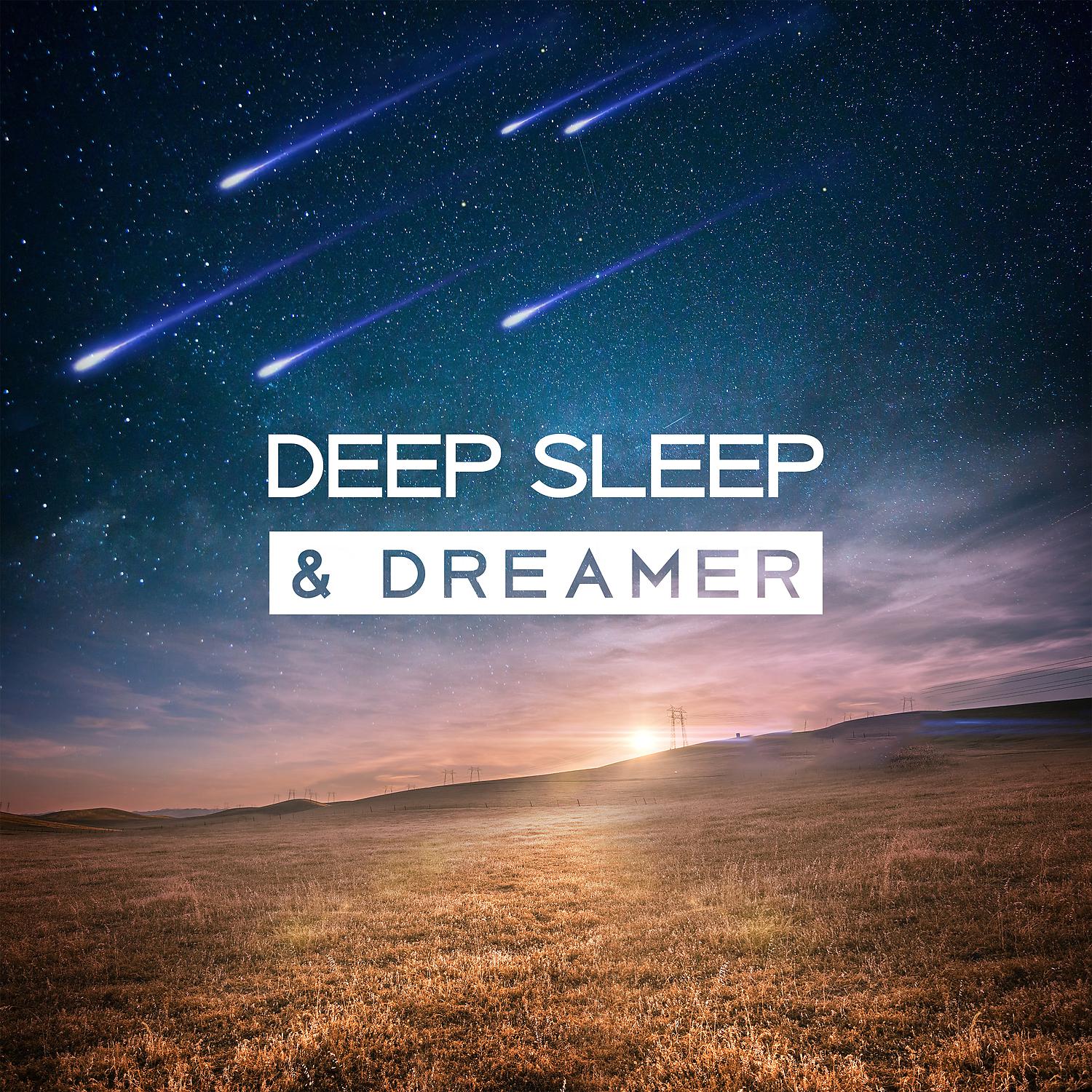 Постер альбома Deep Sleep & Dreamer – Pleasant Melodies for Sleep, Rest and Relaxation, Natural Cure Insomnia