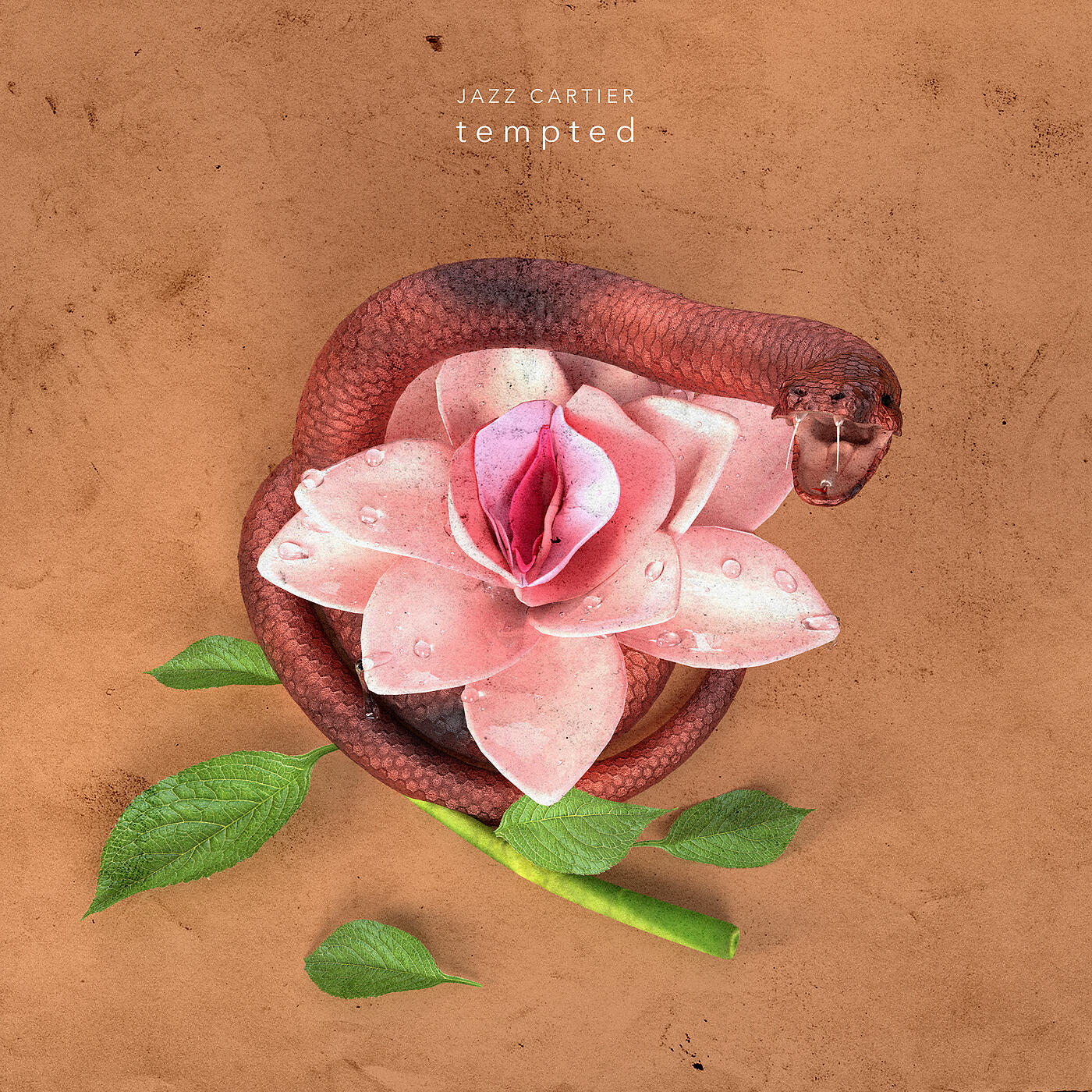 Jazz Cartier - • TEMPTED