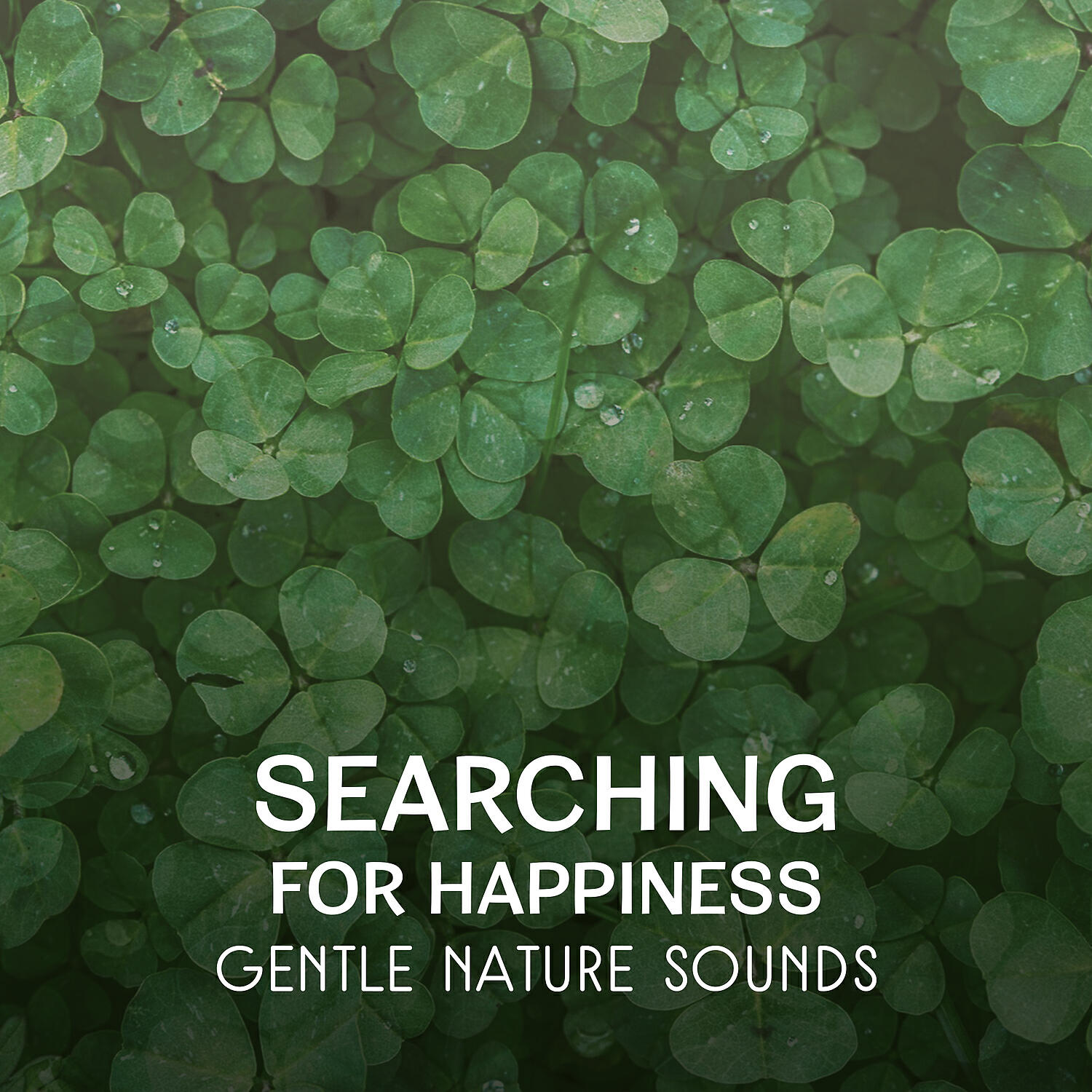 Soothing Music Collection - Calmness & Deep Relaxation