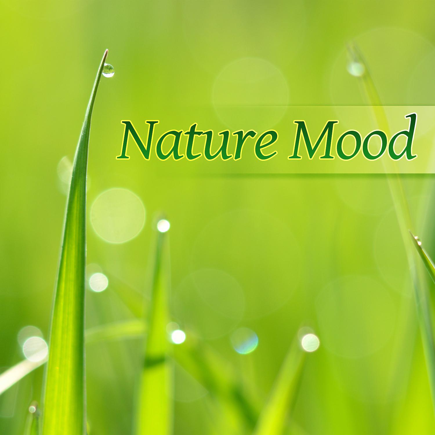 Постер альбома Nature Mood – Nature Sounds for Relaxaing and Positive Mind Journey