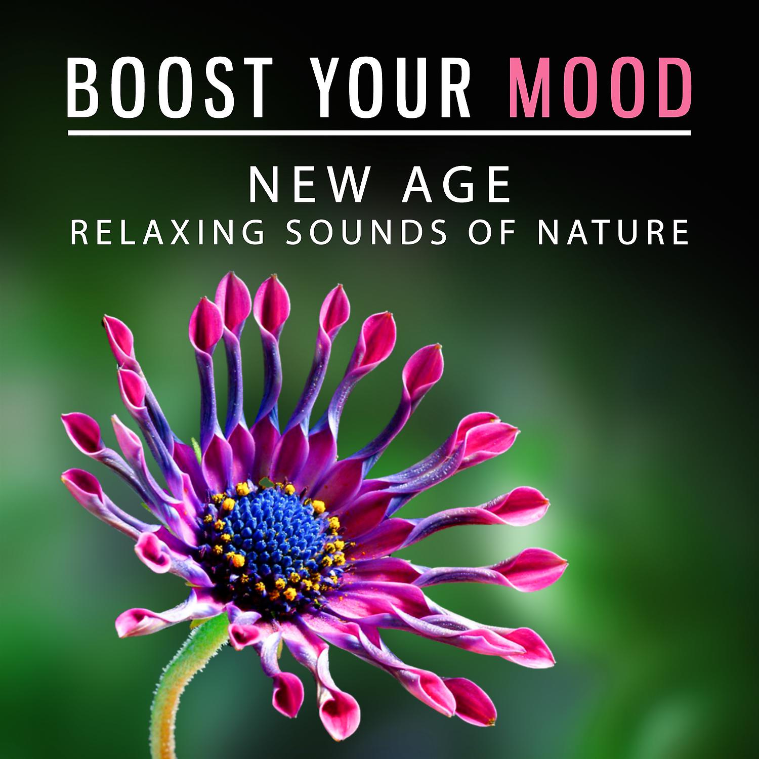 Постер альбома Boost Your Mood - New Age Relaxing Sounds of Nature: Ease Stress, Beat Insomnia, Relieve Pain, Anxiety Free, Music for Positive Thinking, Happiness & Joy