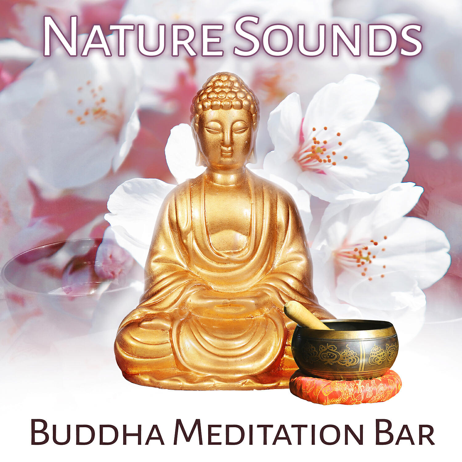 Buddhism Academy - Positive Energy