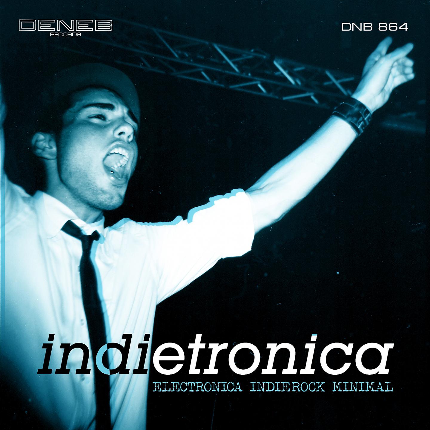 Постер альбома Indietronica