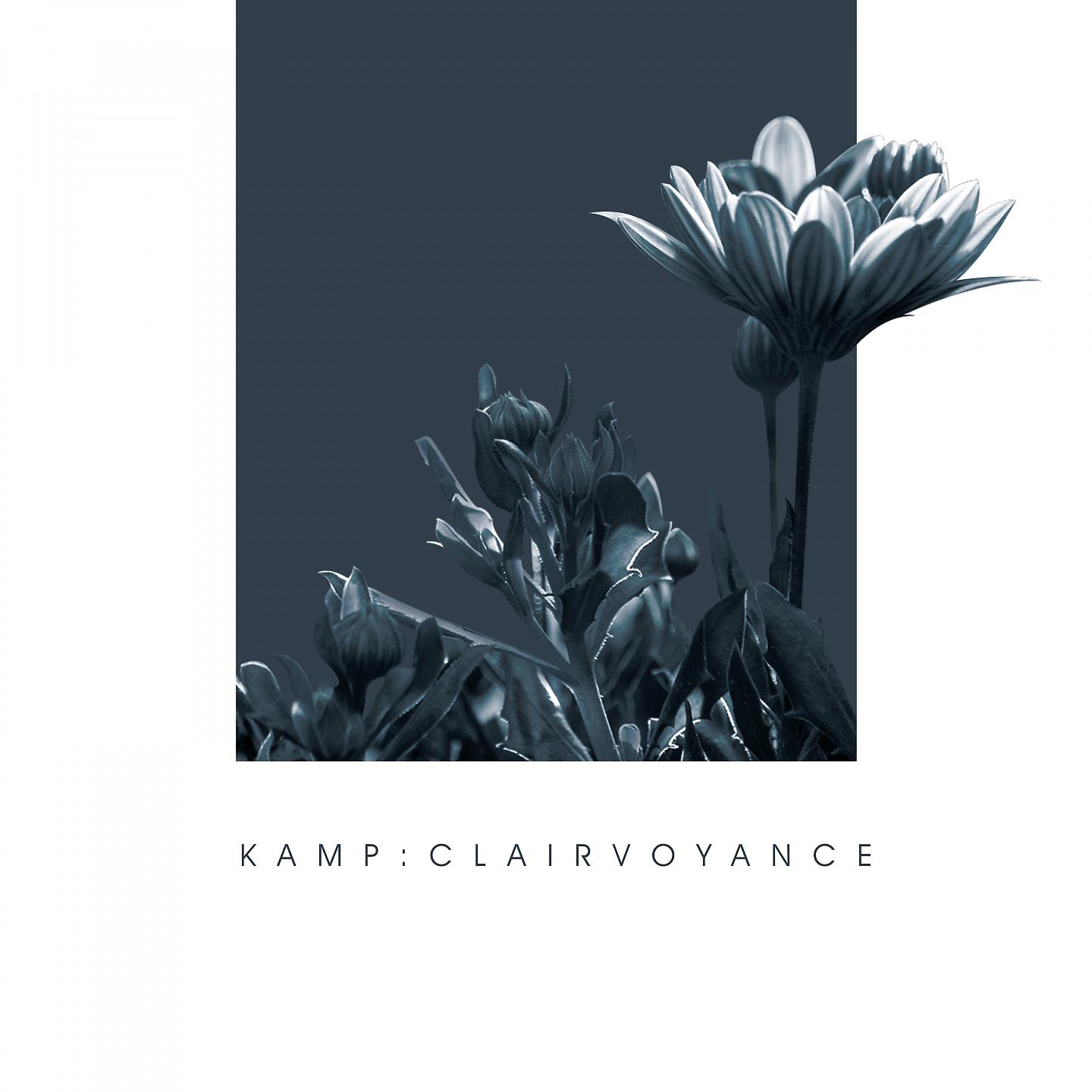 Постер альбома Clairvoyance