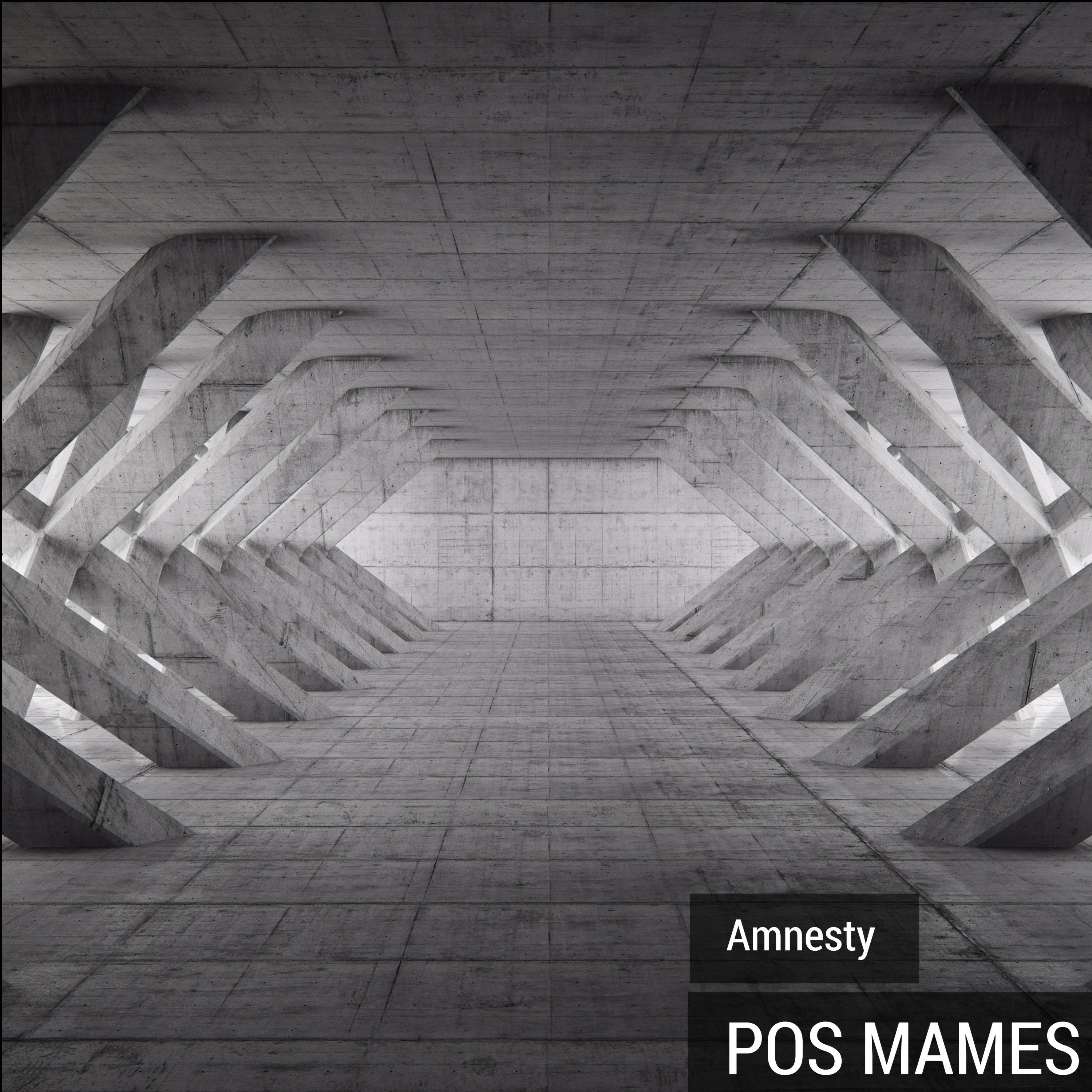 Постер альбома Pos Mames