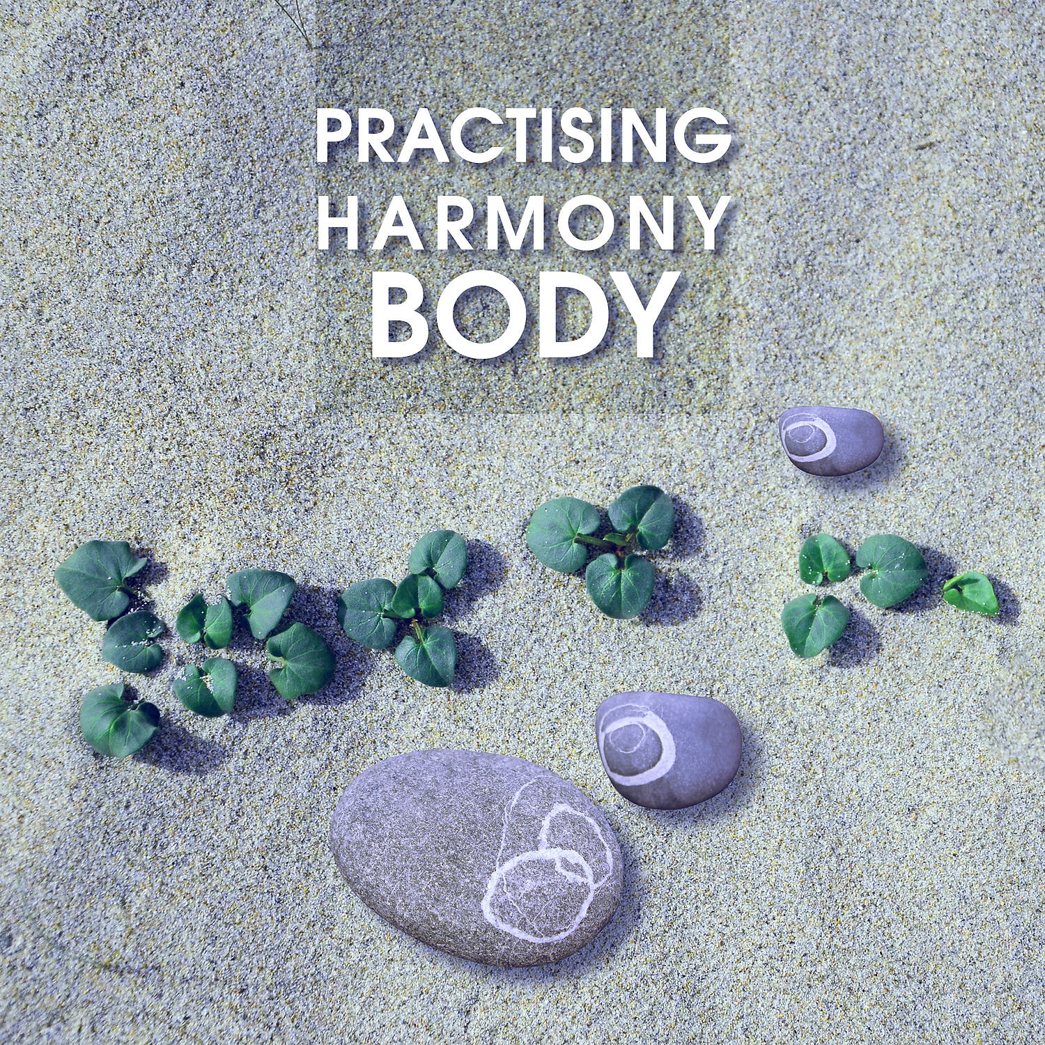 Natural Balance Academy - Mindful Focus