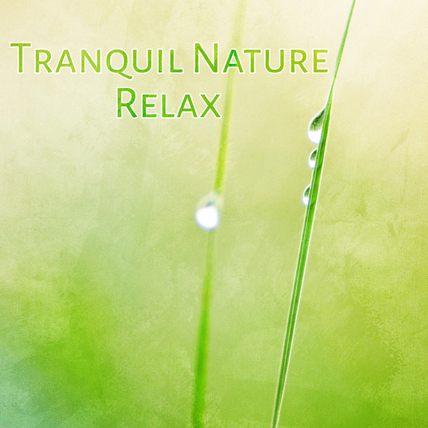 Ambient Nature Music - Blue Tafle Flute