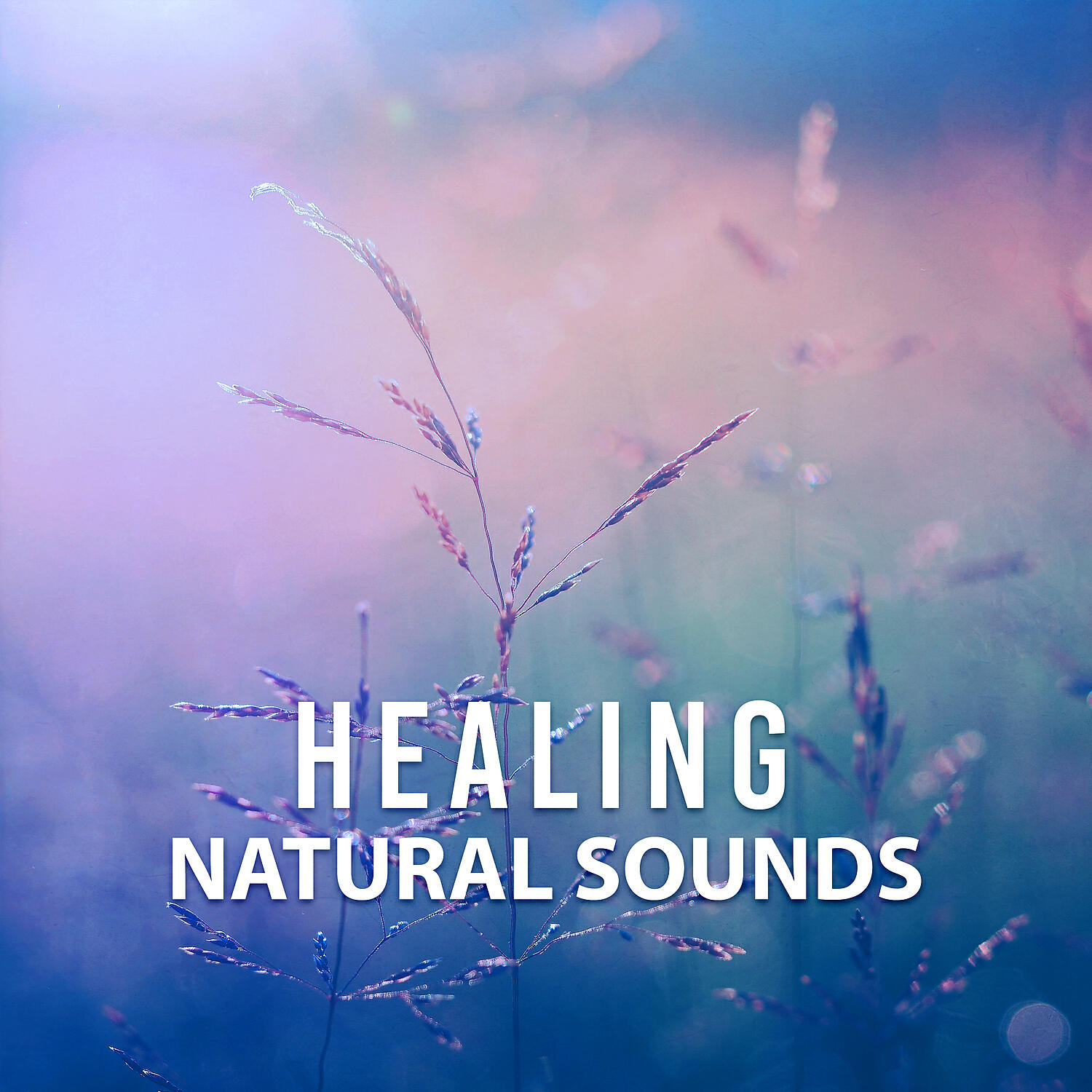 Mindful Relax Group - Soothing Nature Sound