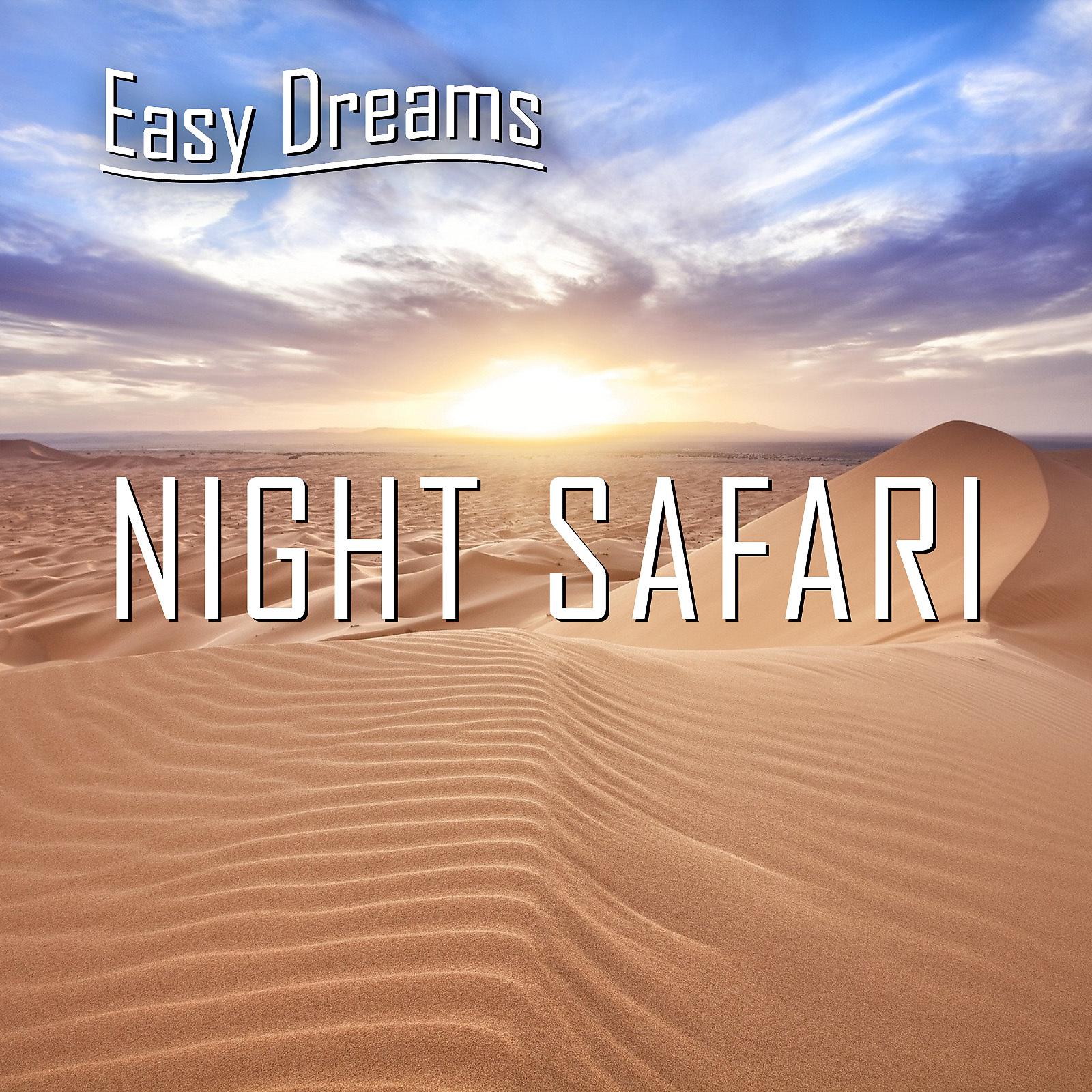 Постер альбома Easy Dreams: Night Safari