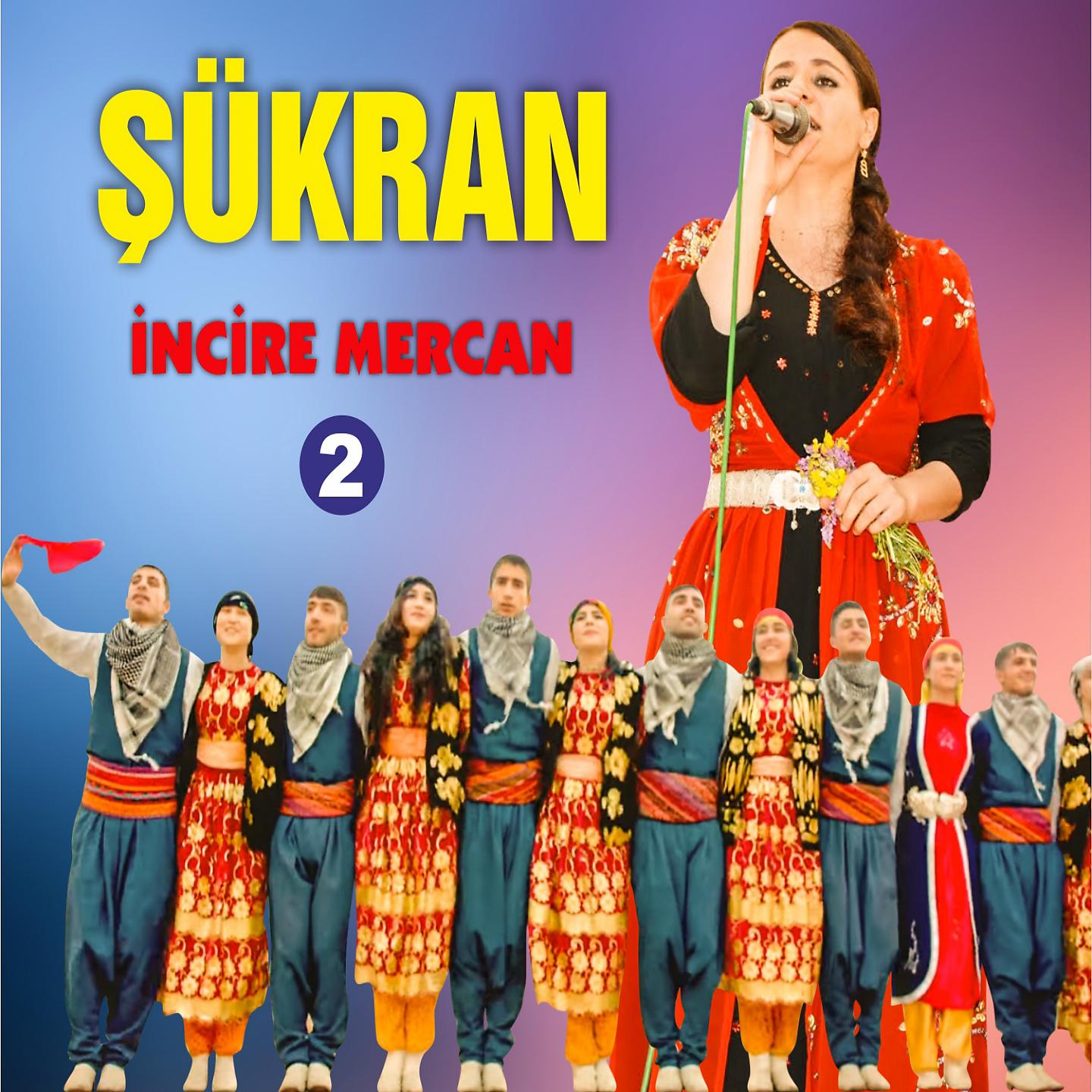 Постер альбома İncire Mercan, Vol. 2