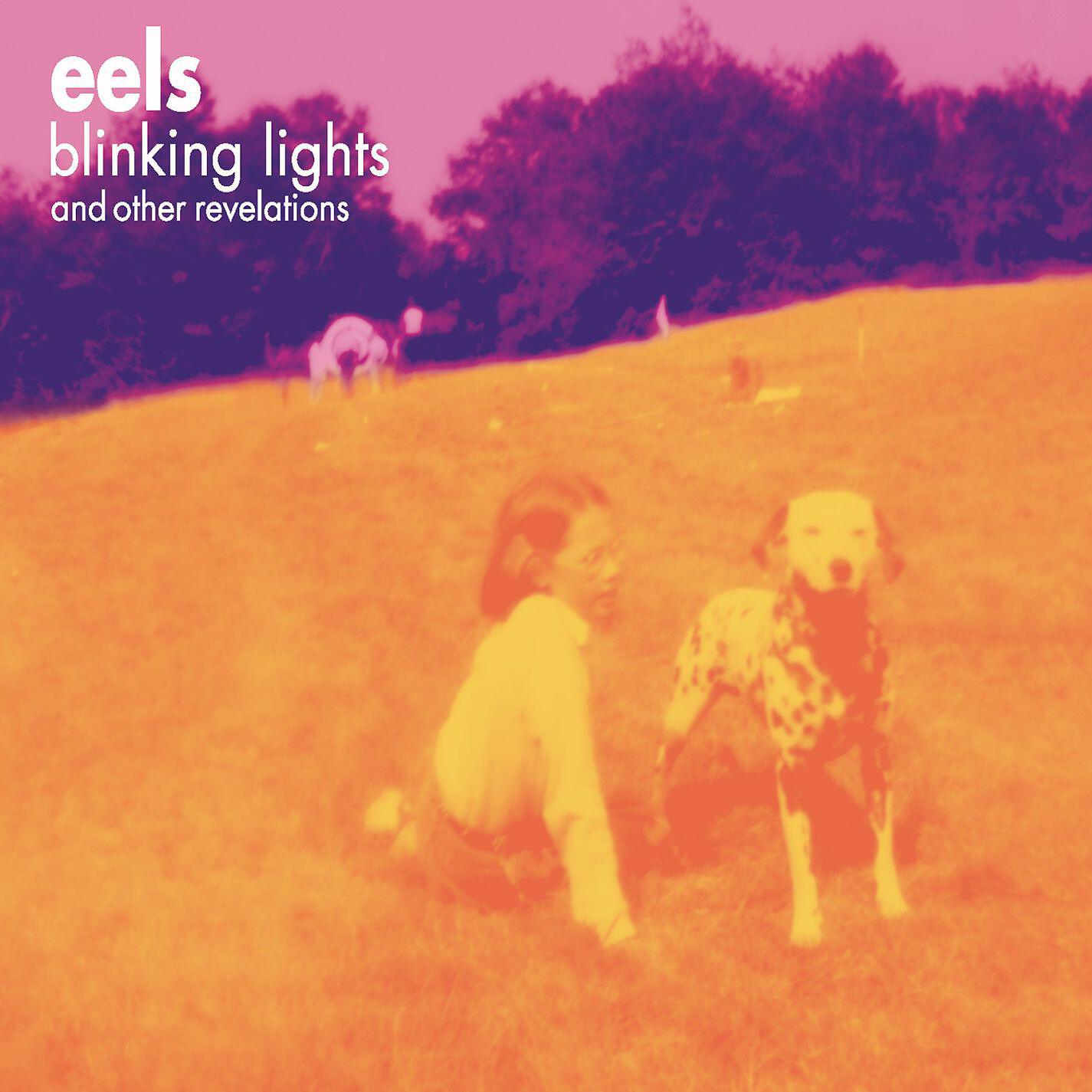 Eels - Blinking Lights (For You)