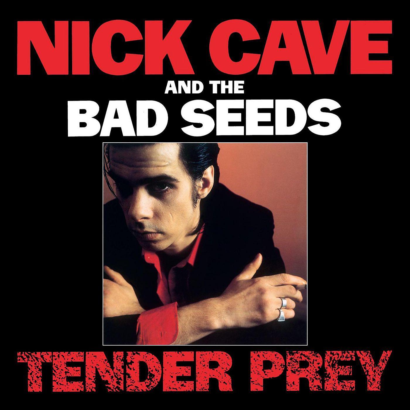 Постер альбома Tender Prey (2010 Remastered Version)
